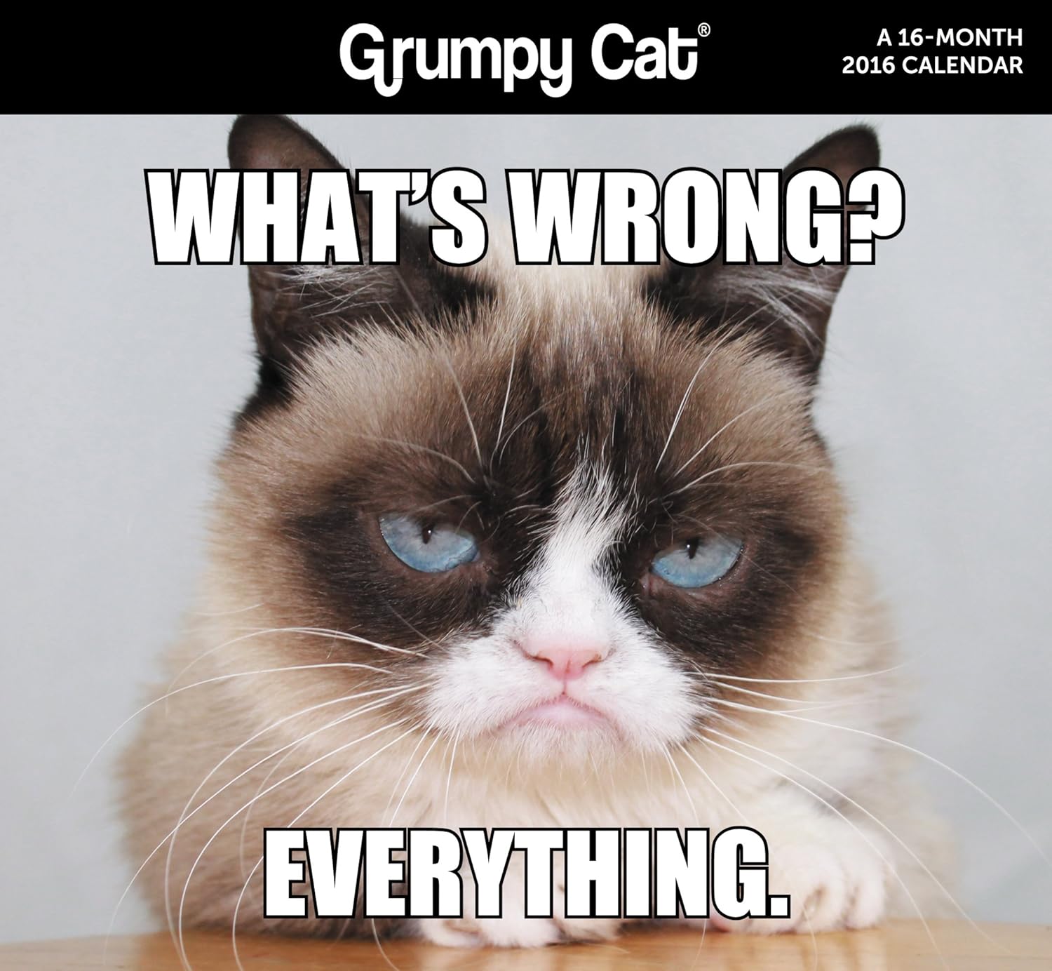 Grumpy Cat 2016 Calendar ACCO Brands 9781629052885 Books Amazon ca grumpy-cat-2016-calendar-acco-brands-9781629052885-books-amazon-ca