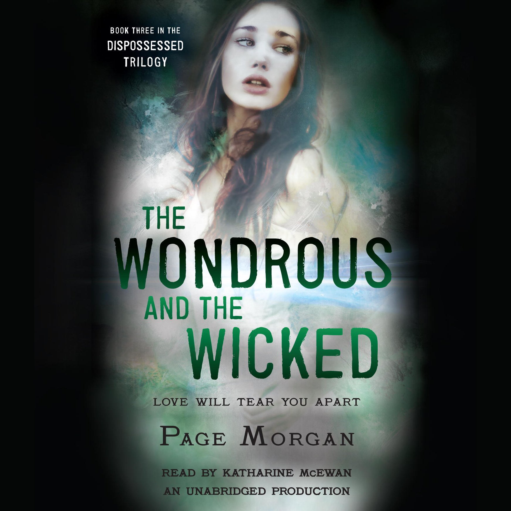 Cover art for The Wondrous and the Wicked