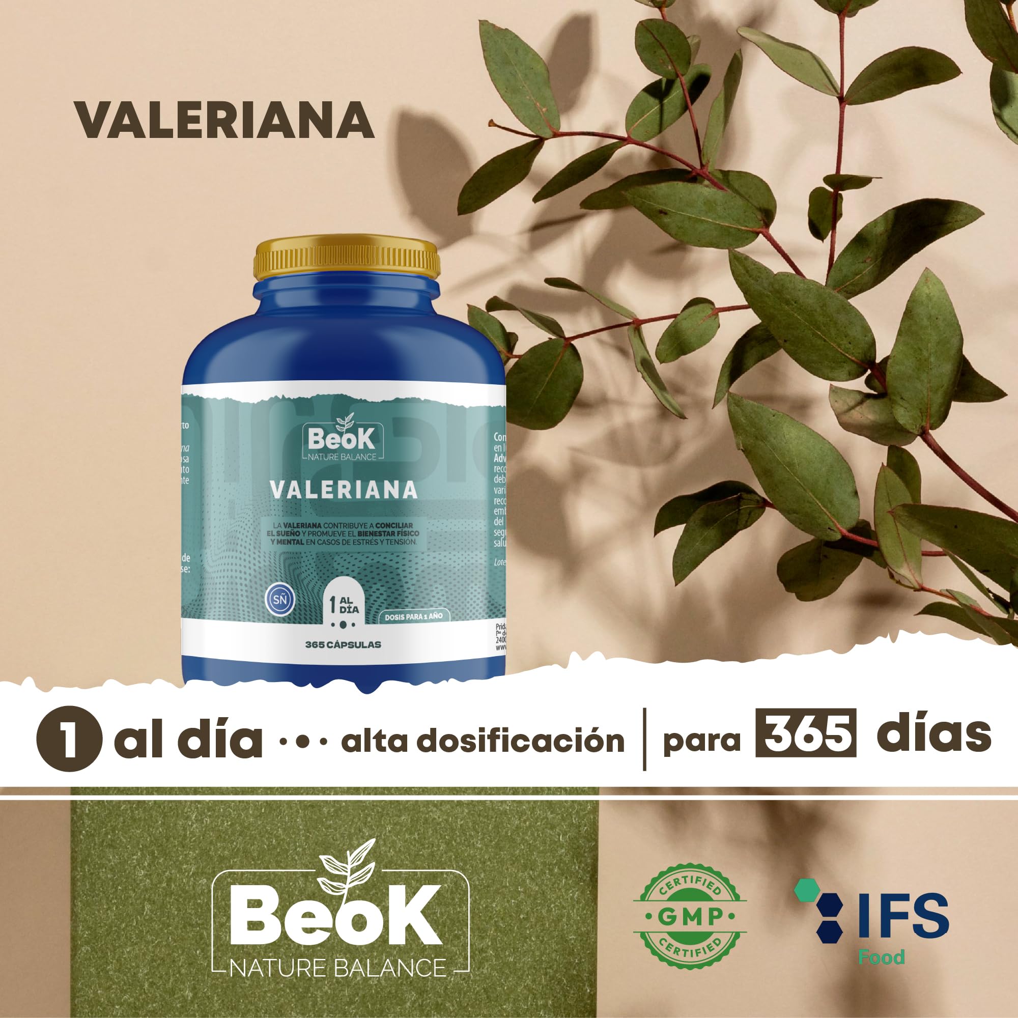 BEOK Valeriana 365 Cápsulas – 200 mg por Dósis Diaria – Suplemento para Conciliar el Sueño y Aliviar el Estrés – Relajación, Descanso, Bienestar Físico y Mental – Suministro para 1 Año