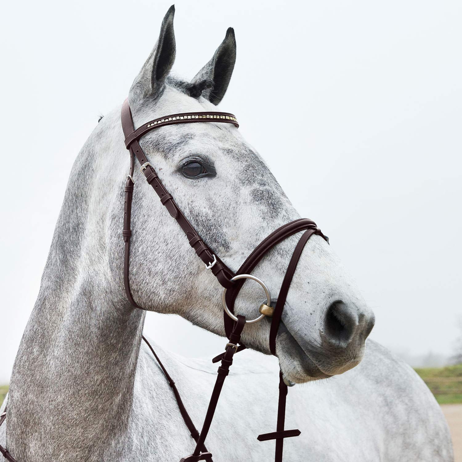 HORZE Pferde Trense Weston, Trensenzaum mit Zügel für Warmblut, Vollblut und Pony, Braun, C