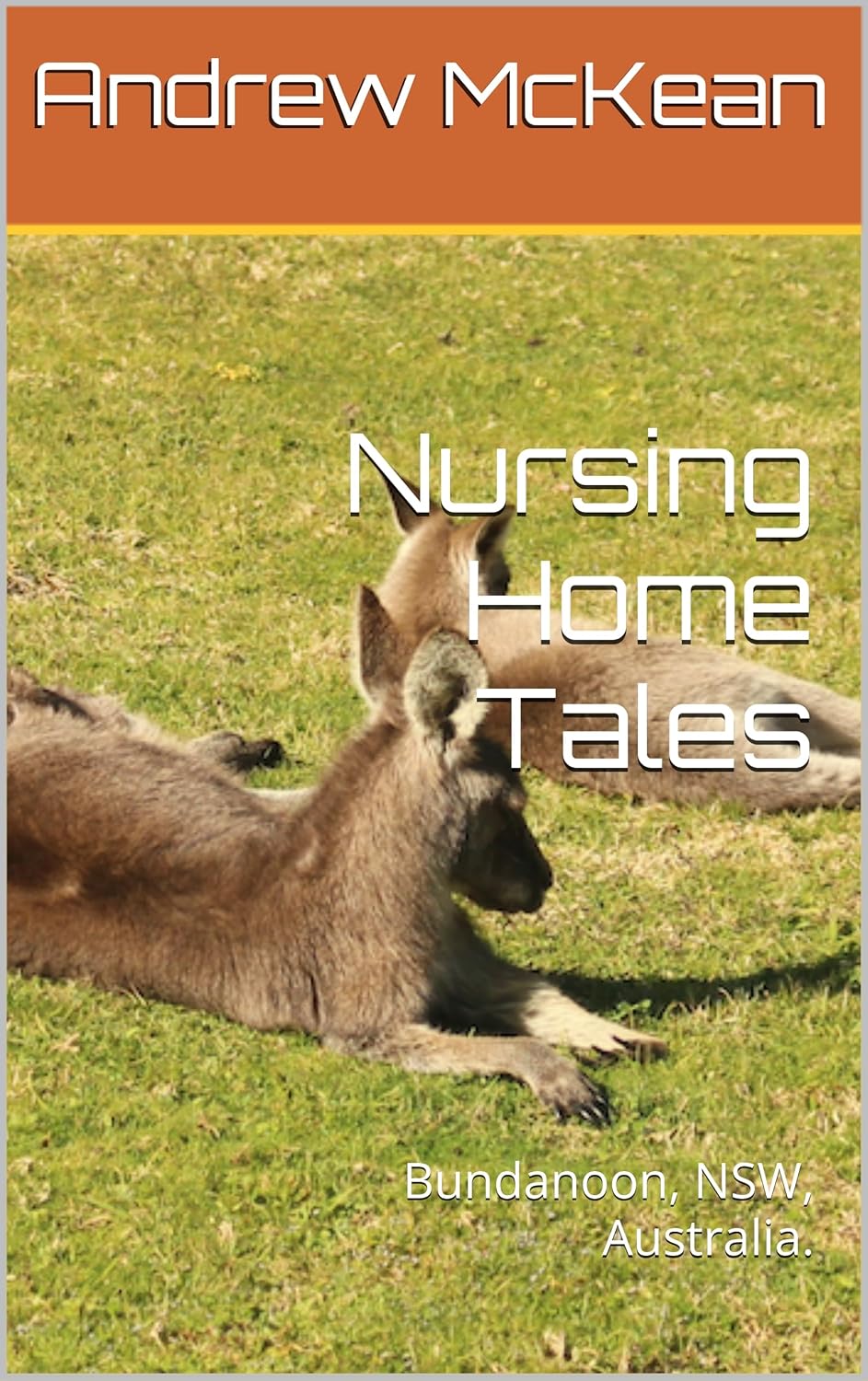 Nursing Home Tales Bundanoon, NSW, Australia. eBook