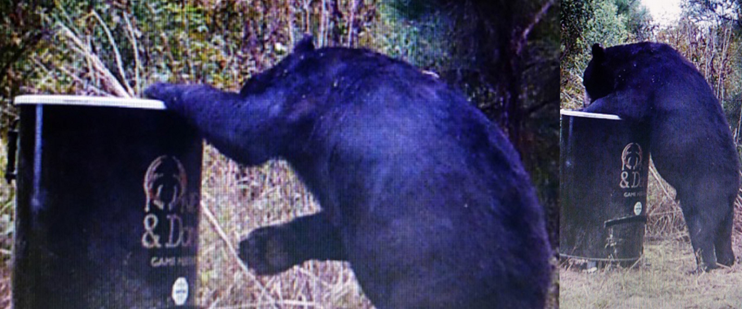 Amazon.com : One and Done PRO Game Feeder - Built to Last - Loads 122lbs or  250 lbs (55 Gallon Bear Proof Classic Game Feeder) : Sports & Outdoors