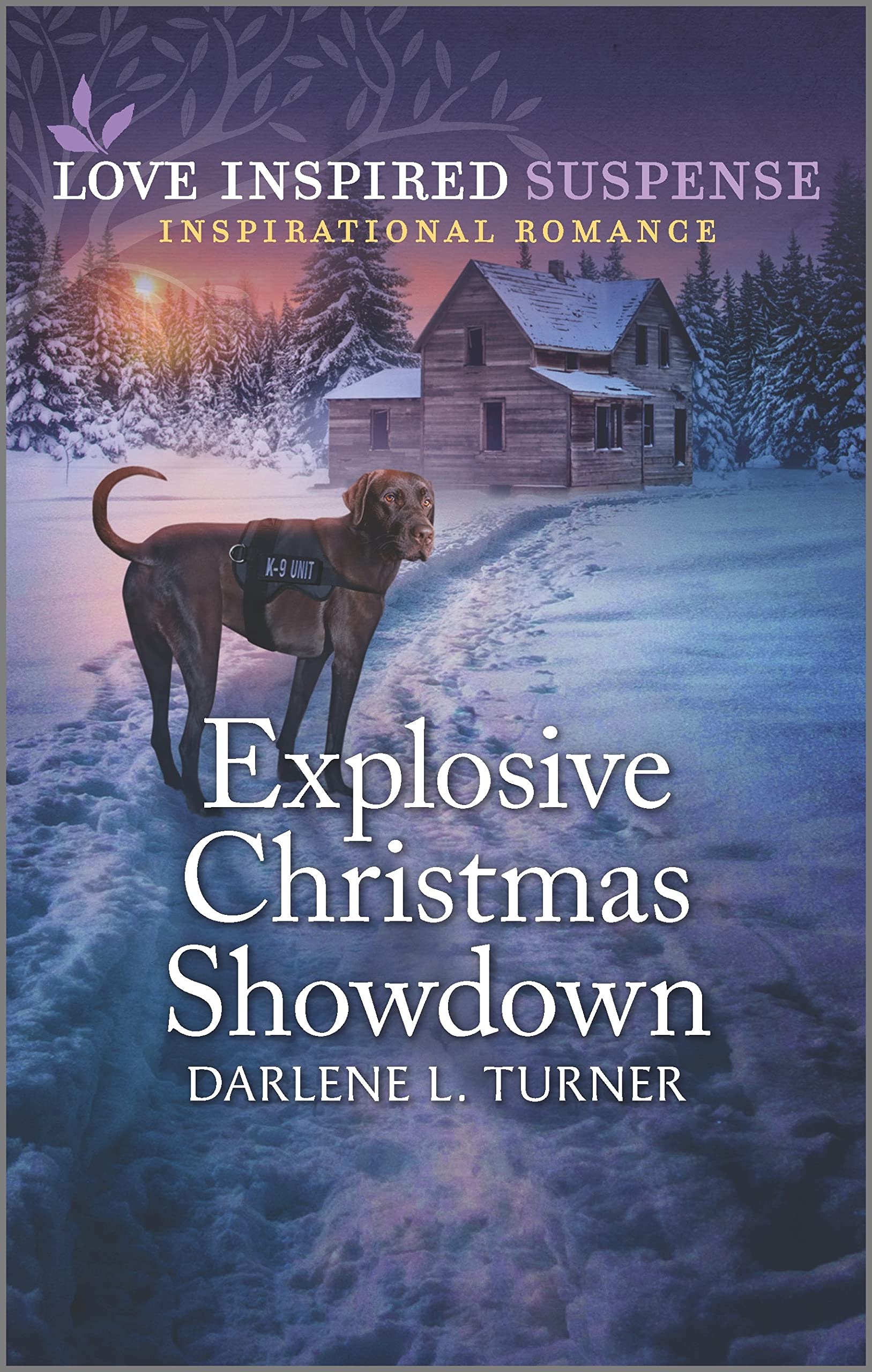 Explosive Christmas Showdown: An Inspirational Second Chance Police Romance (Crisis Rescue Team Book 2)