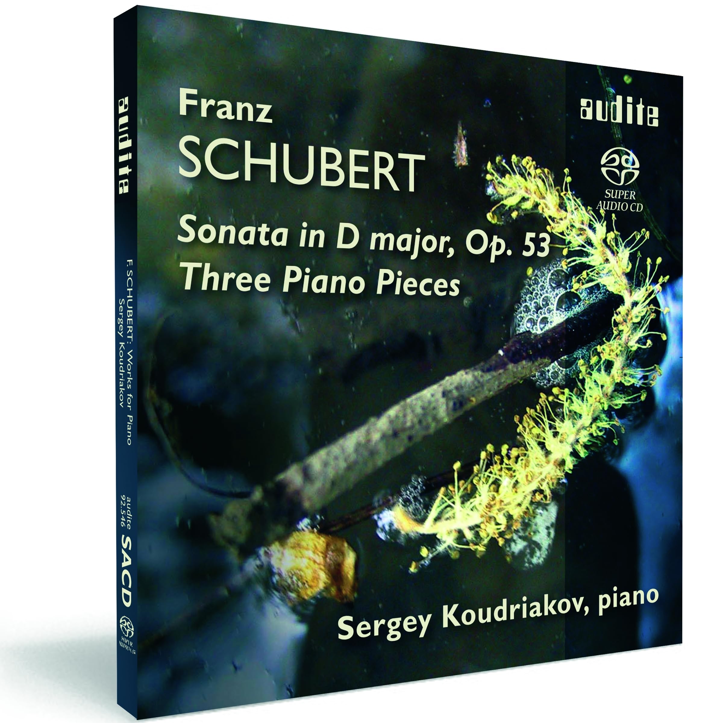Schubert - Piano Sonata in D major, op.53; Three Piano Pieces (Sergei Koudriakov)