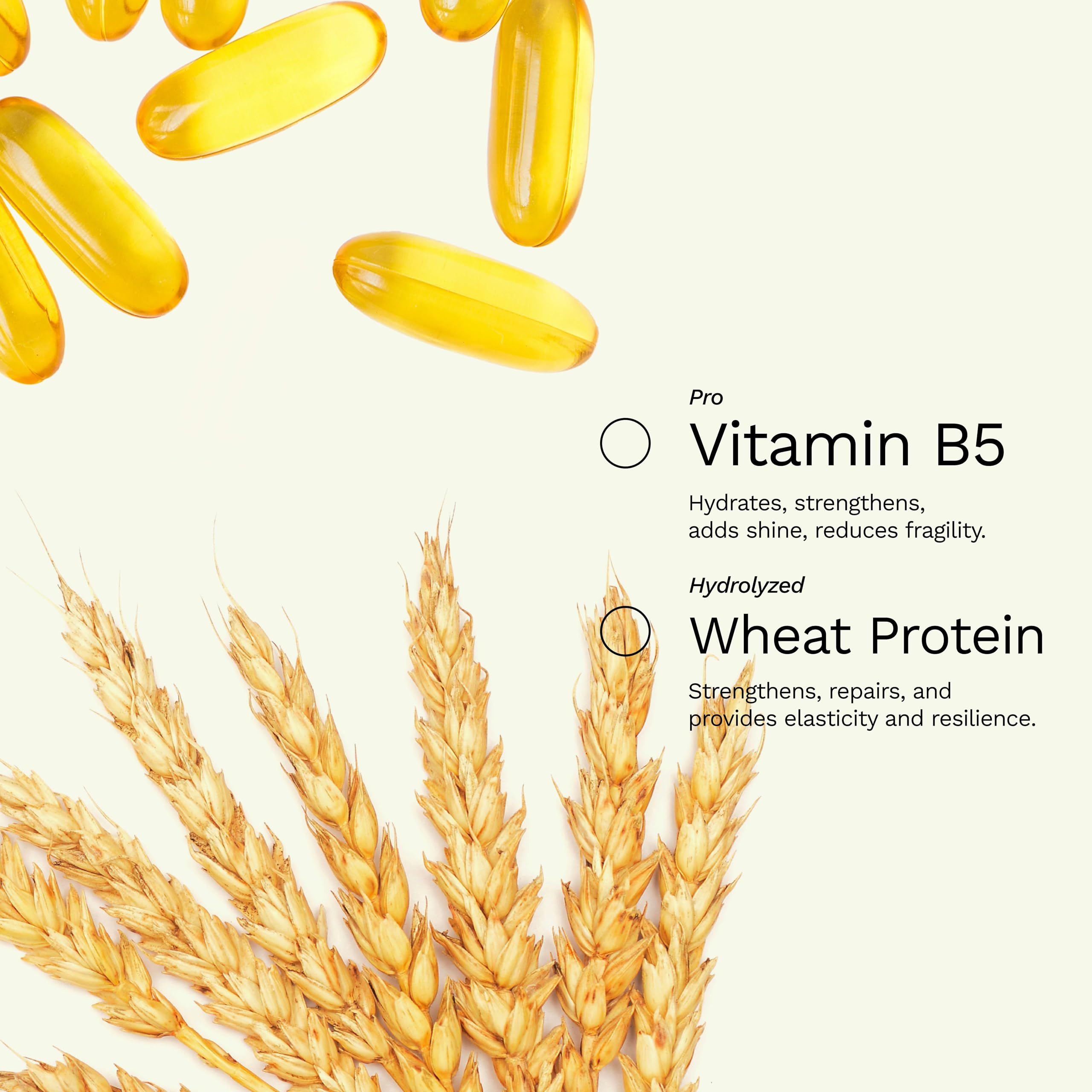 GINGER MILK - Hair Strengthening Protein | Nourishes, replenishes and protects the hair fiber | Ginger extract, biotin and vitamin E | Be Bold (9 fl oz.)