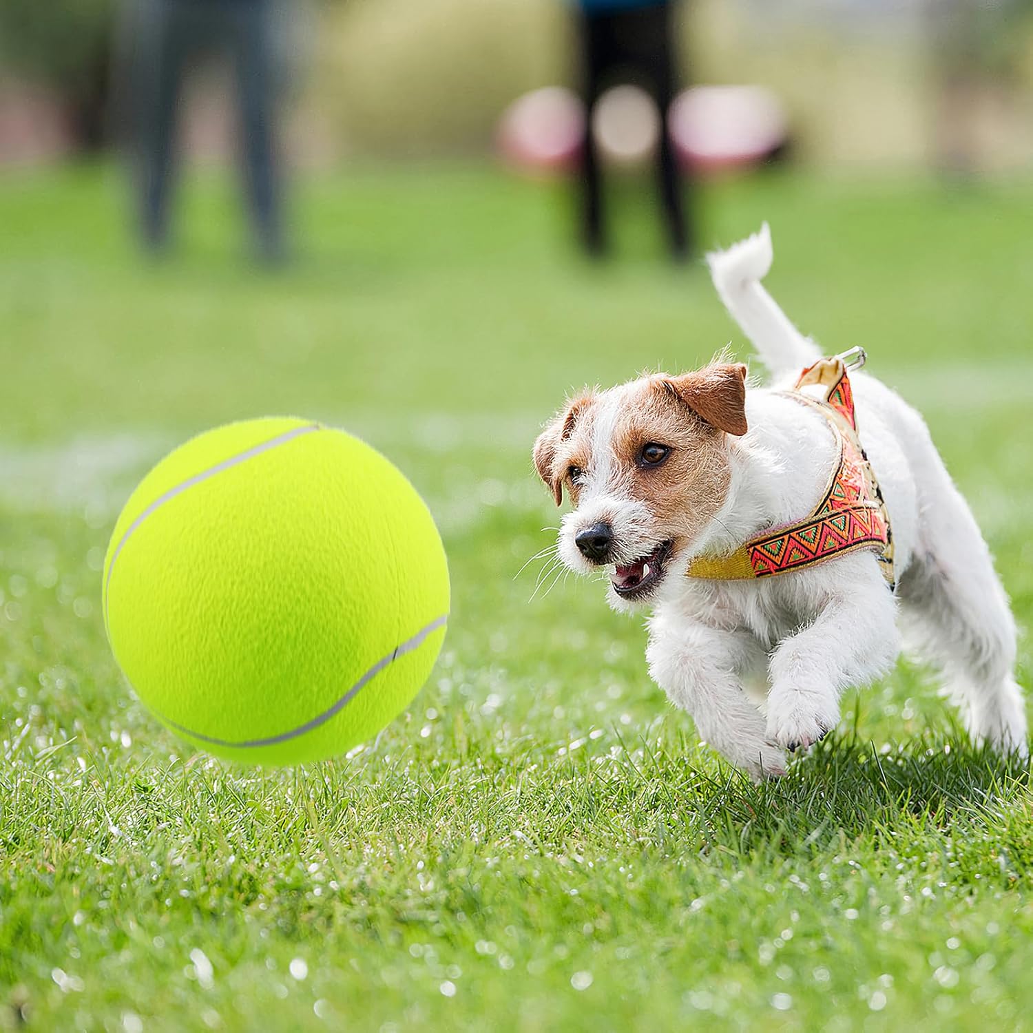 Healeved Large 9.5 Inch Tennis Ball for Dogs with Air Needle Inflatable Pet Toy Durable Outdoor Play Ball