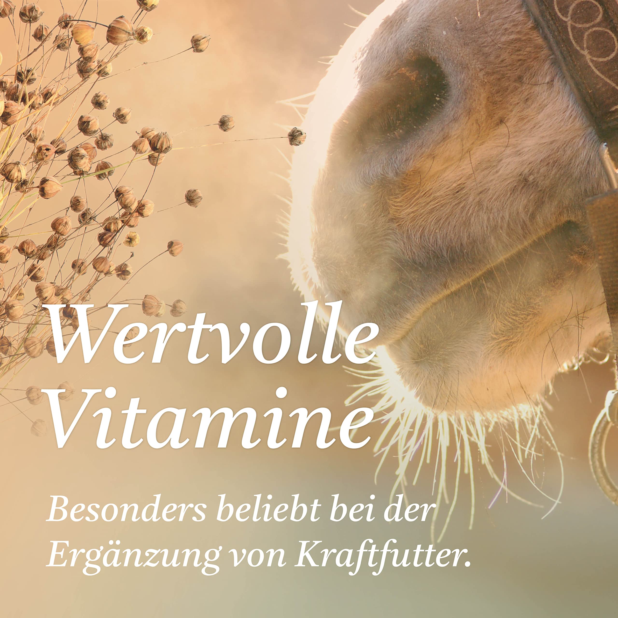 Martenbrown® Aceite de linaza prémium para caballos, perros y otros animales, en bidón XXL [3 litros] | prensado en frío y 100% puro y natural | Complemento alimenticio para animales