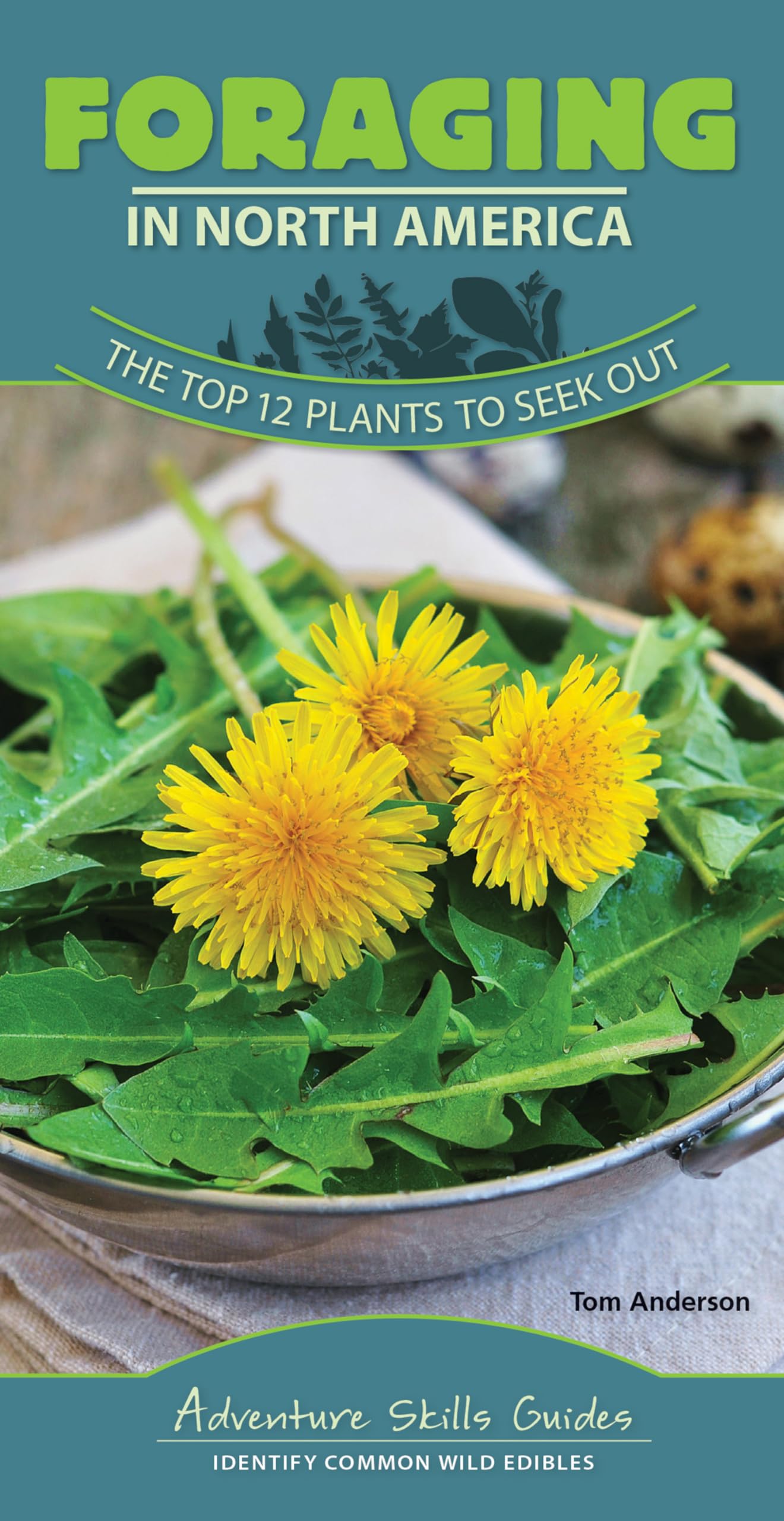 Foraging in North America: The Top 12 Plants to Seek Out (Adventure Skills Guides)