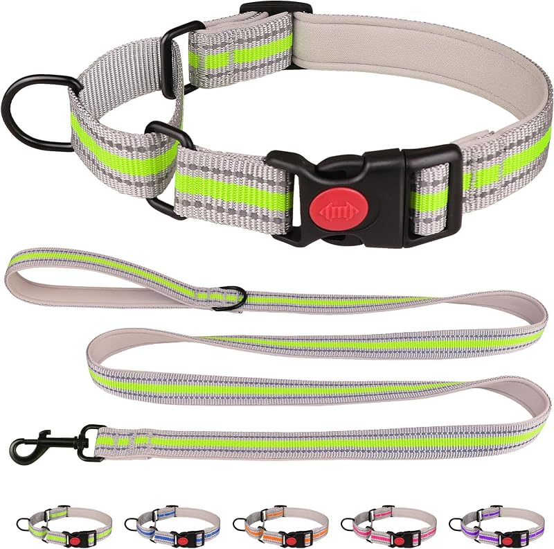 Coleira Martingale para Cães com Neoprene, Faixa Refletiva e Guia de 1,83 m QDYU Verde M