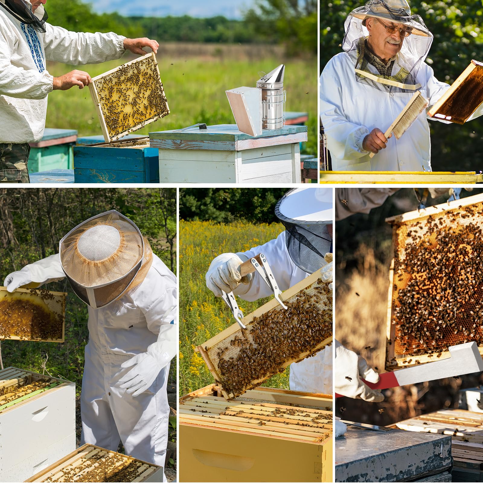 Kit de iniciación de colmenas de abeja, suministros de apicultura, suministros de apicultura, suministros y equipos de abejas con ahumador de abejas, herramientas de colmena de abeja para