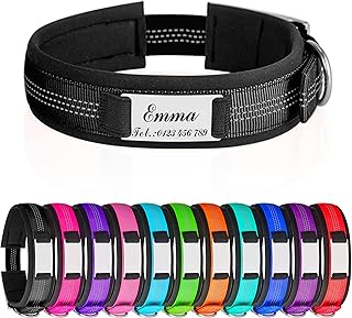 Hundehalsbänder mit Metallschnalle Reflektierende Hundehalsband mit Namensplakette Personalisiertes Nylon Halsband mit weich Gepolstertes Neopren Halsbänder mit Gravur product image