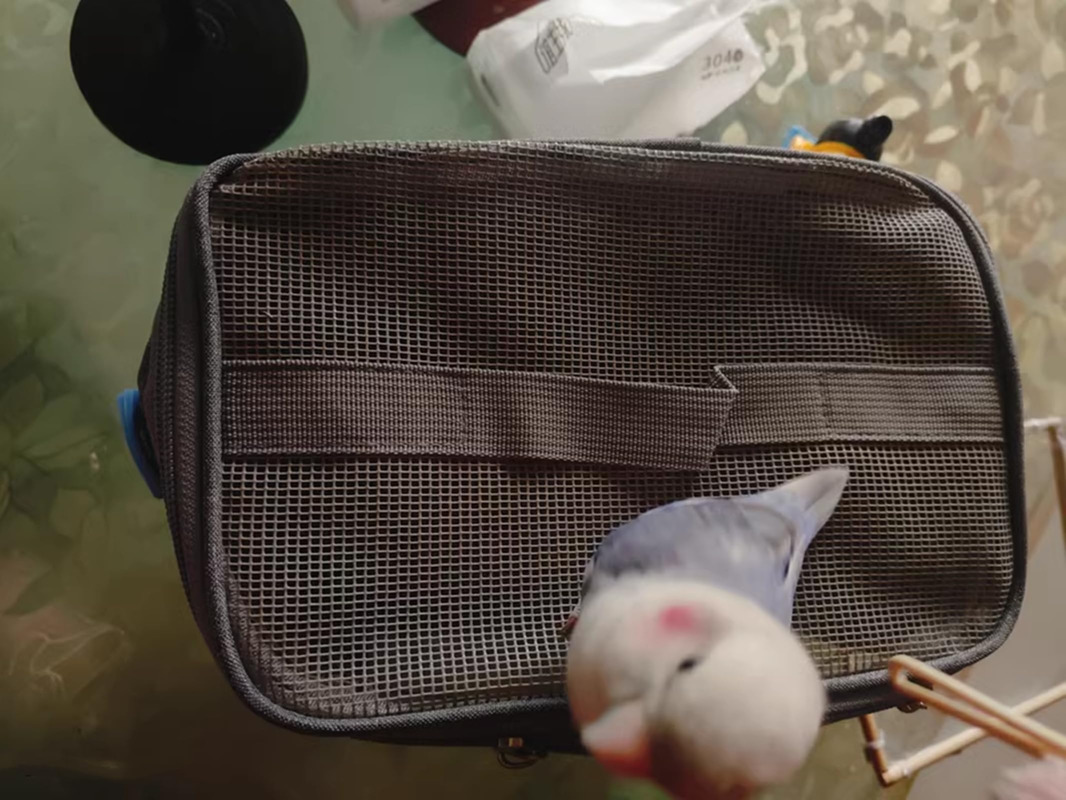 Transportbehälter für Vögel, Vogelkäfig Wellensittich, Vogel transportbox, Tragbare Vogelträger Reisetasche, Transparent atmungsaktiver Reisekäfig + 4 x Vögel Kauen Spielzeug（5-7cm）