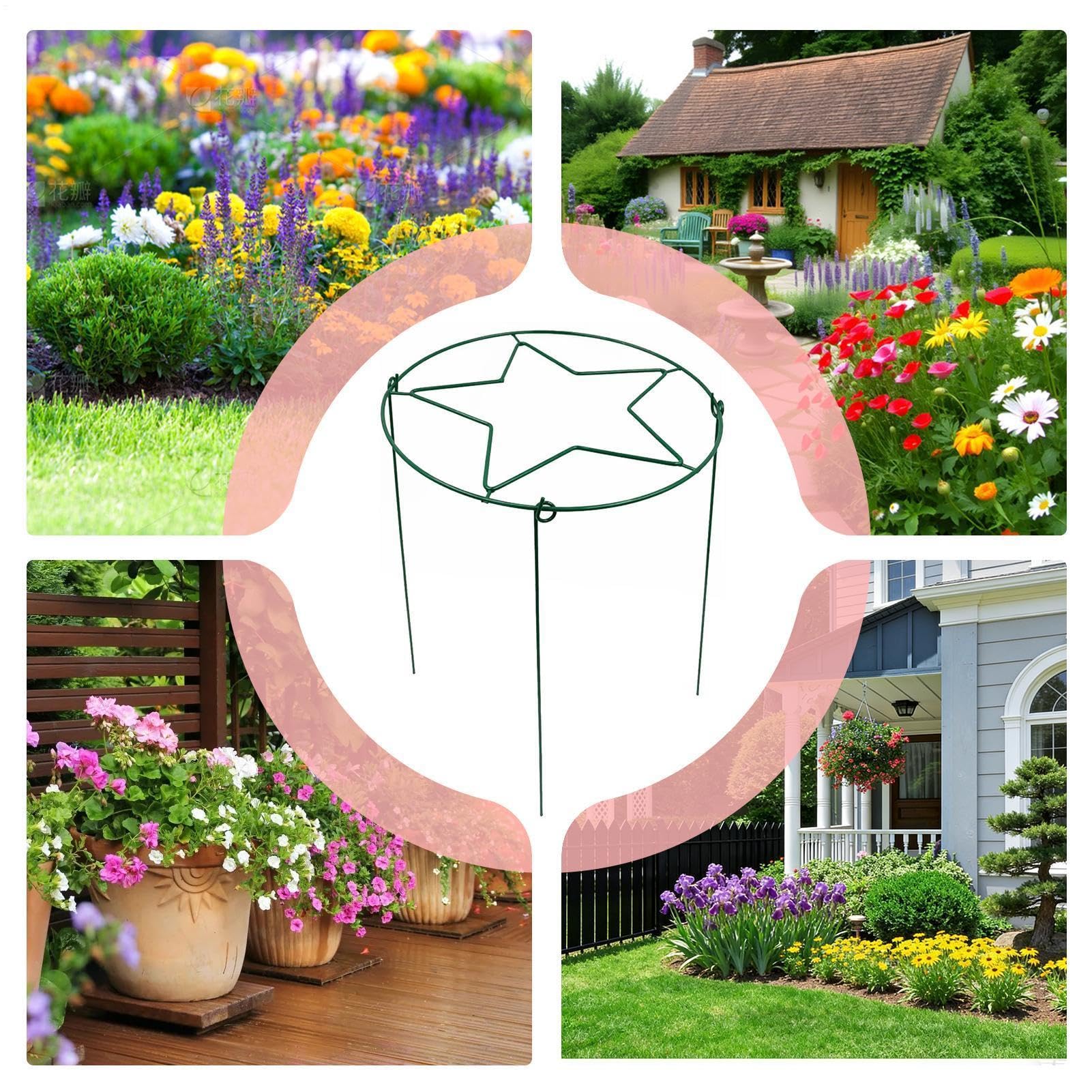 Tuteurs et Supports pour Pivoines 4 Pièces Métal Robuste Réutilisable