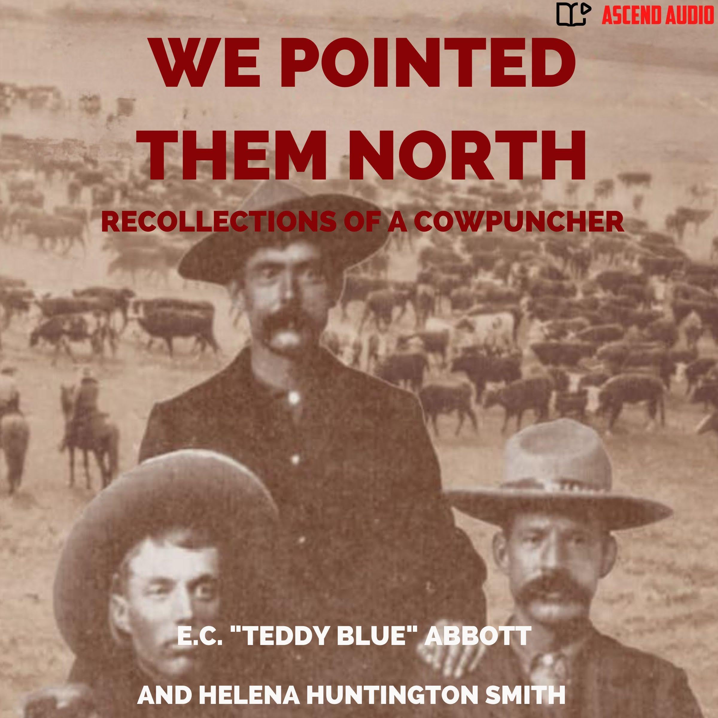 Cover art for We Pointed Them North