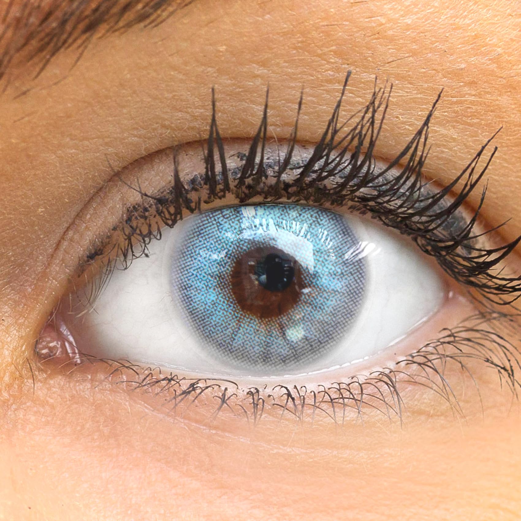 GLAMLENS lentillas de color - bleu Jasmine Ash Blue + contenedor. 1 par (2 piezas) 90 Días Sin Graduación 0.00 dioptrías blandos Lentes de contacto bleu de hidrogel de silicona s