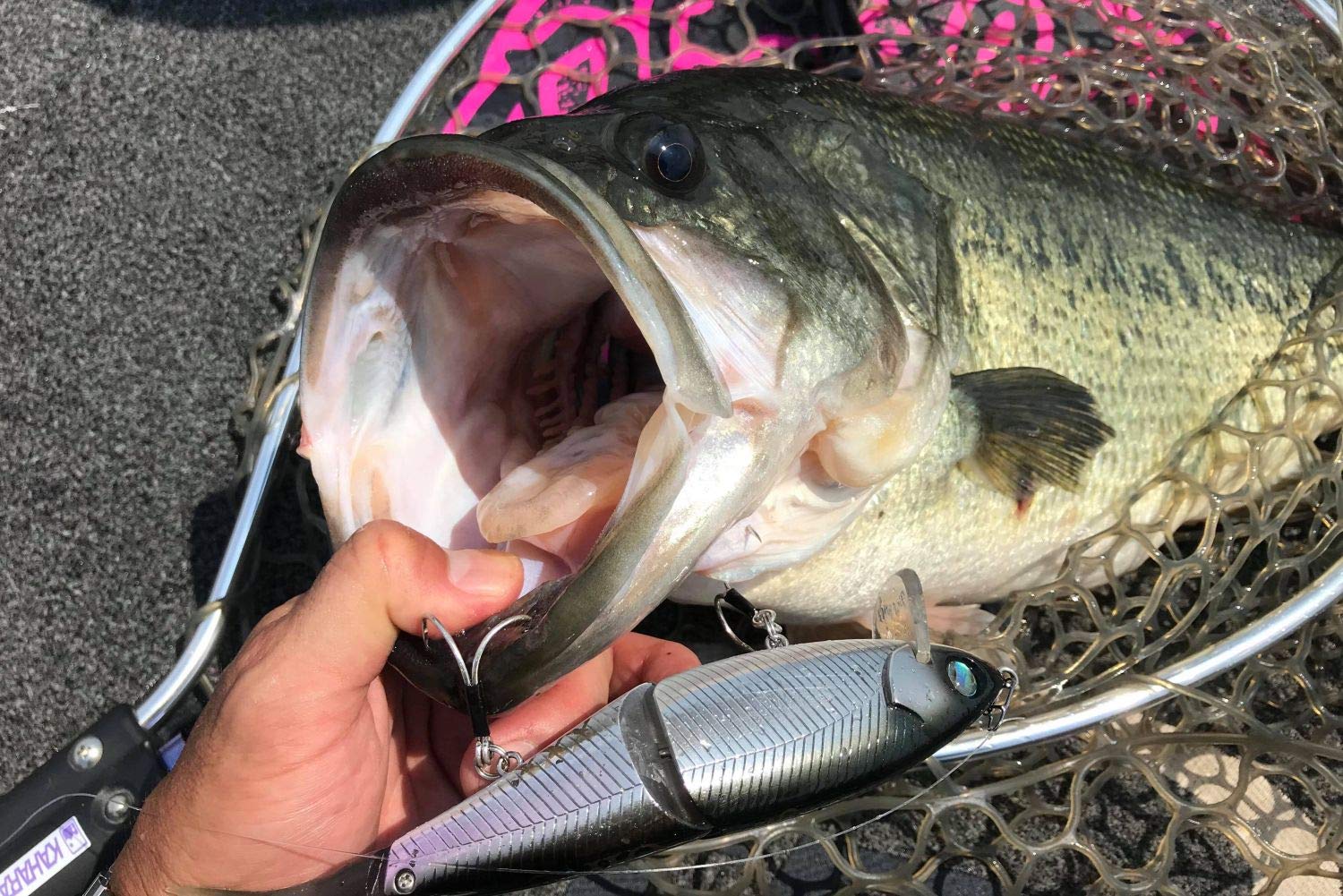 がまかつ がまはえ 63 中調 HI-CARBON HH SILVER Amazon | がまかつ