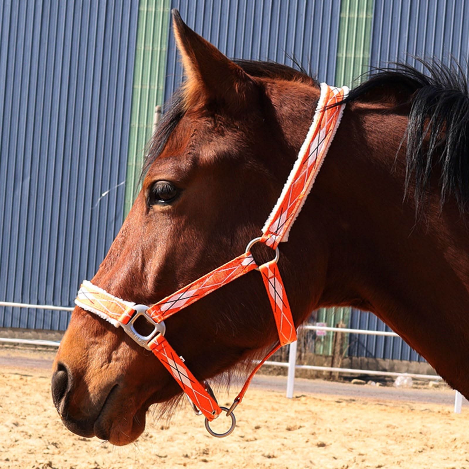 Cabeza de jaula de nylon pesada ajustable, Cabestro de potro acolchado con forro sintético y estampado de caballo ajustable, multicolor, varios tamaños(Wine Red,Large)