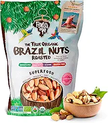 Castanha-do-Pará Torrada com Sal Rosa do Himalaia 500g – Fonte de Proteína Vegetal e Selênio – Vegana, Kosher, Sem Glúten, Sem Conservantes – Floresta em Pé