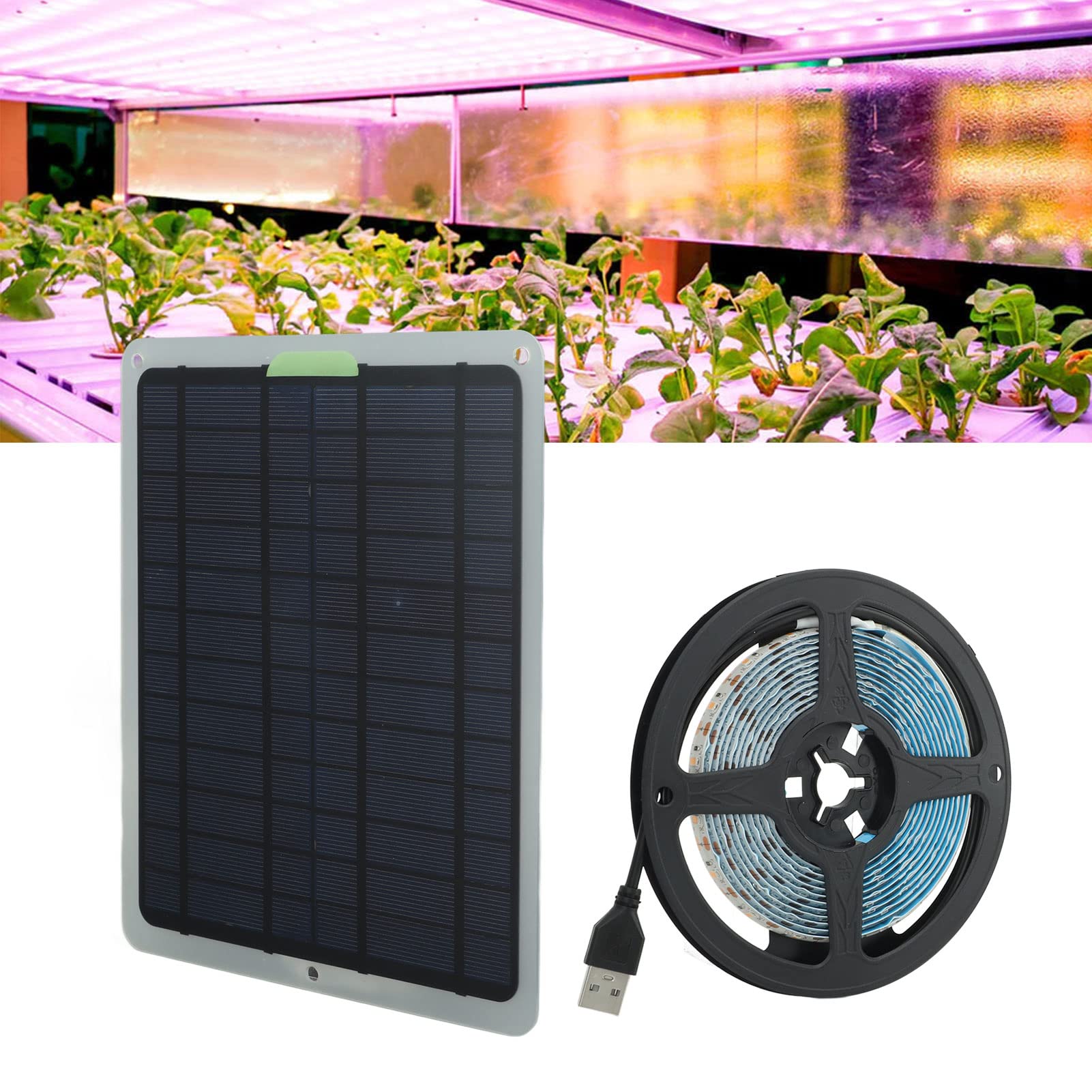 Bewinner Lampe de Croissance LED Solaire 20W Plein Spectre, Bandeau