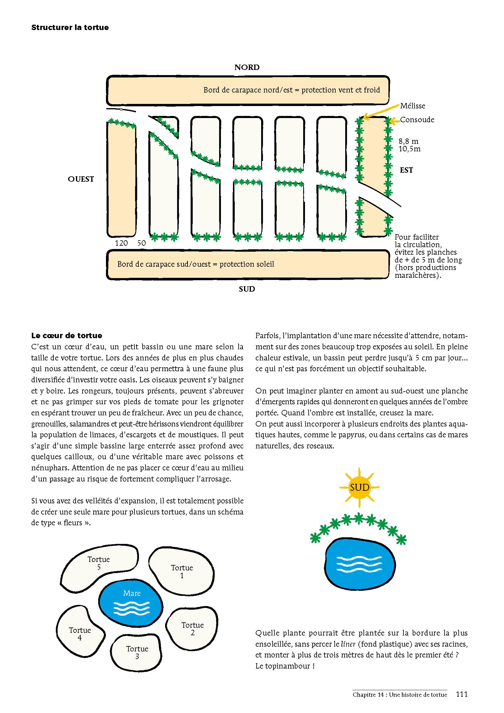 Bienvenue en syntropie: Un jardin d'abondance, des principes au terrain