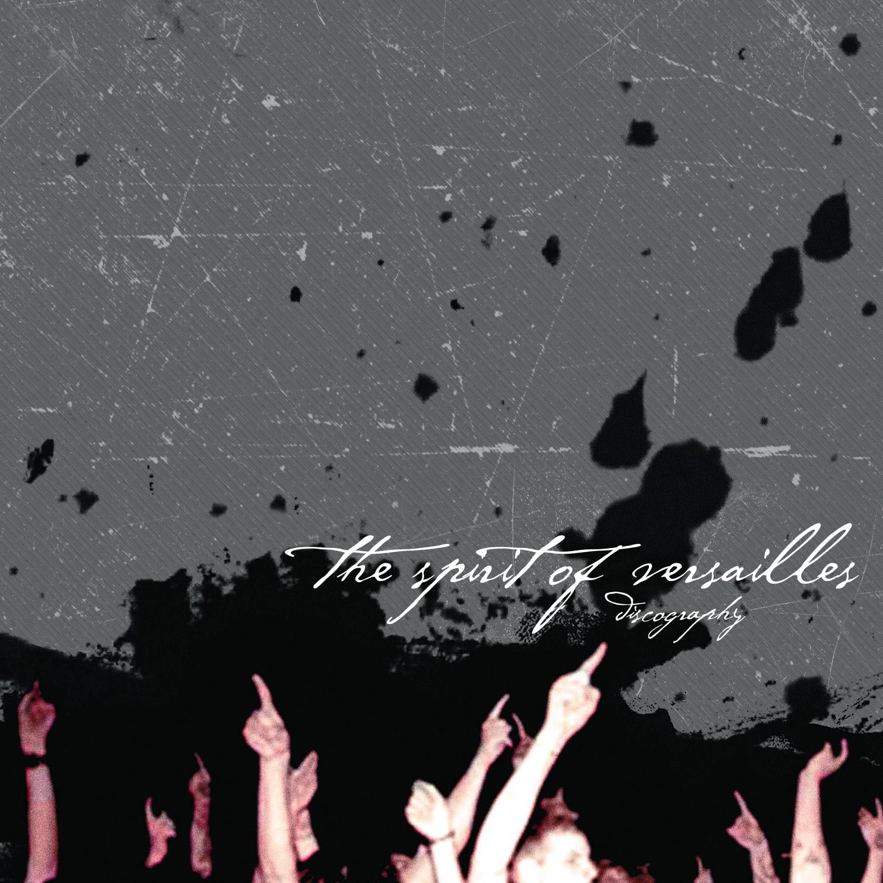 Discography [VINYL]