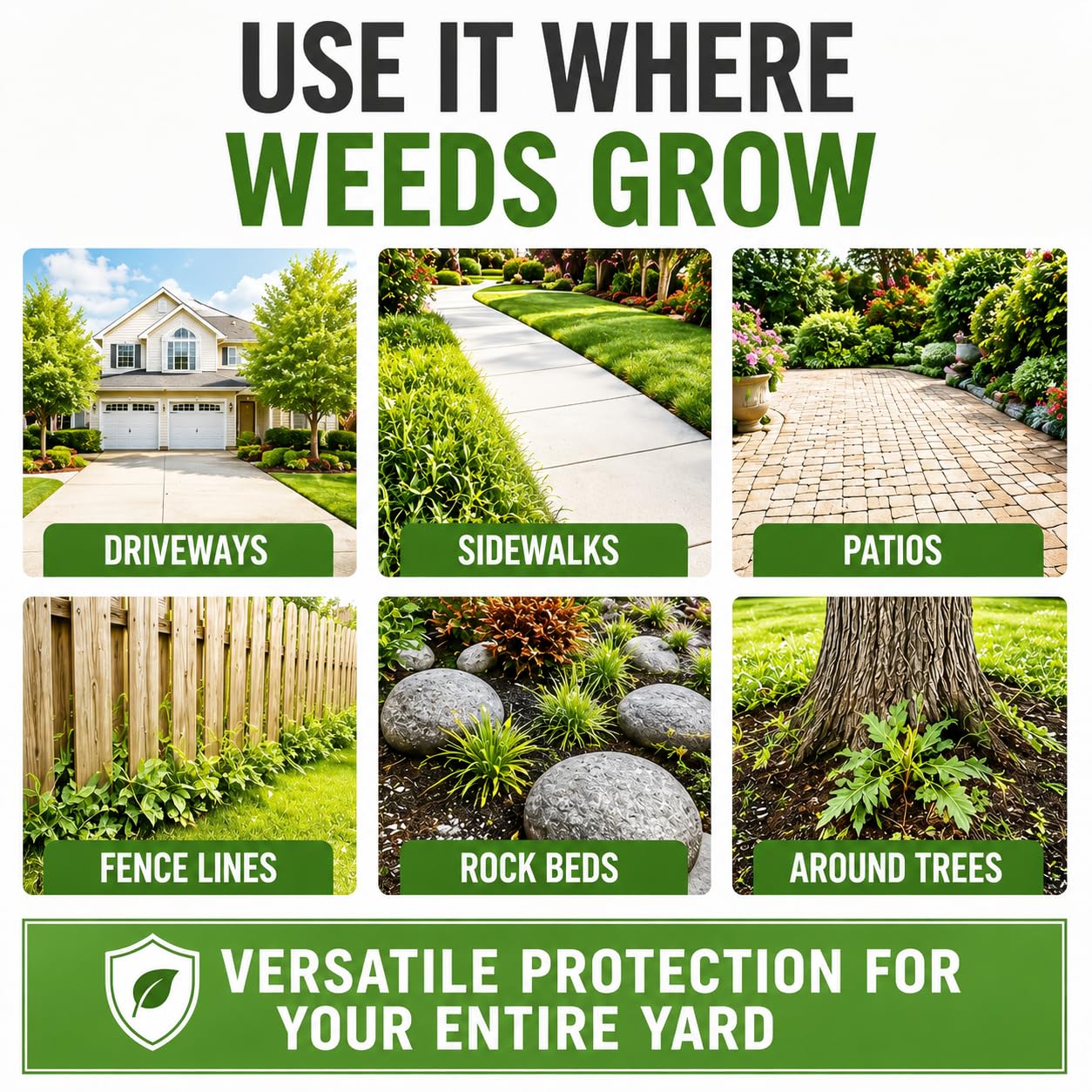 Natural Weed Killer - No Glyphosate! -6