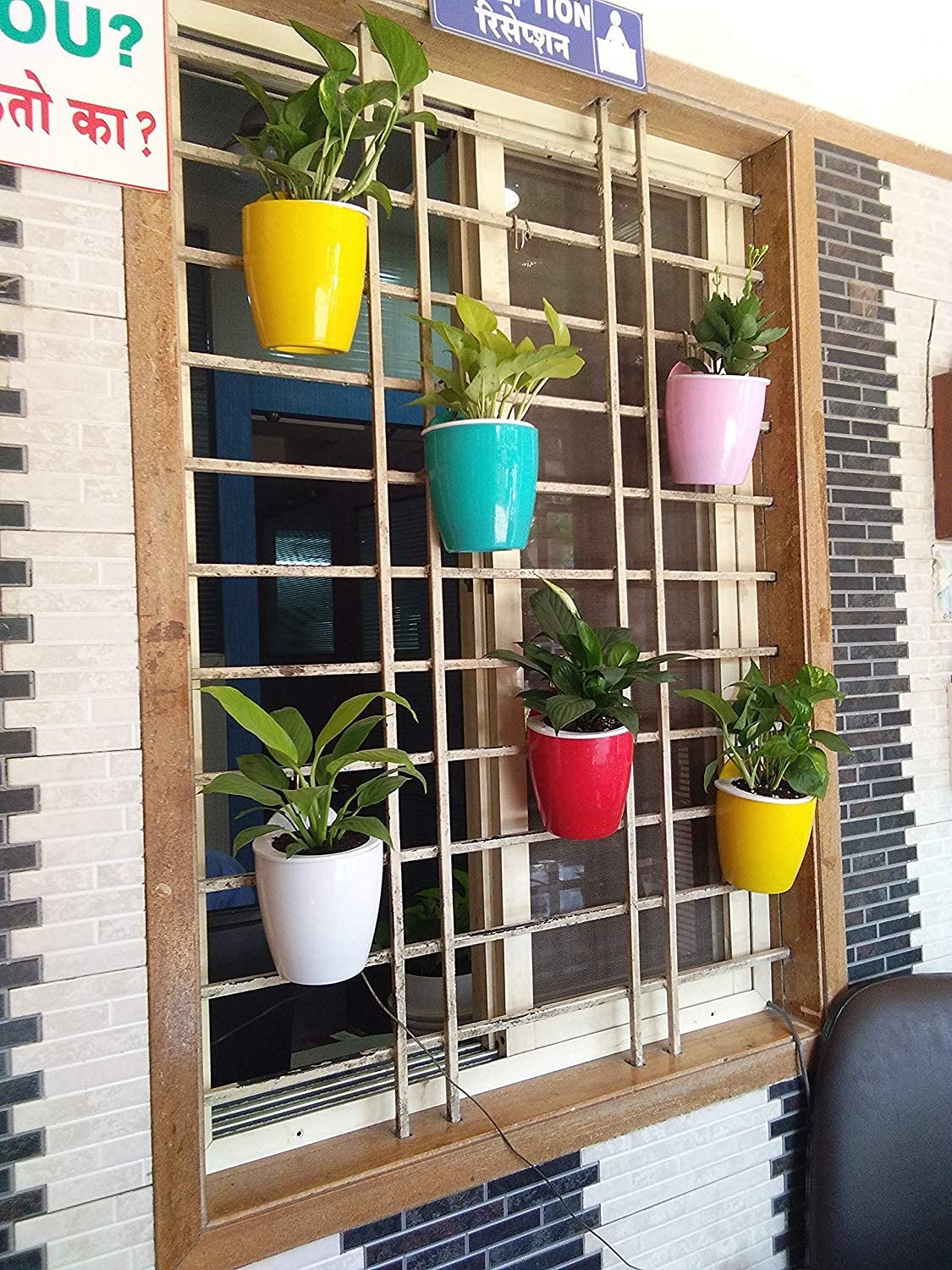 CAPPL Self Watering Hanging Planter Flower Pot (Multi, Set of 5)-image-25