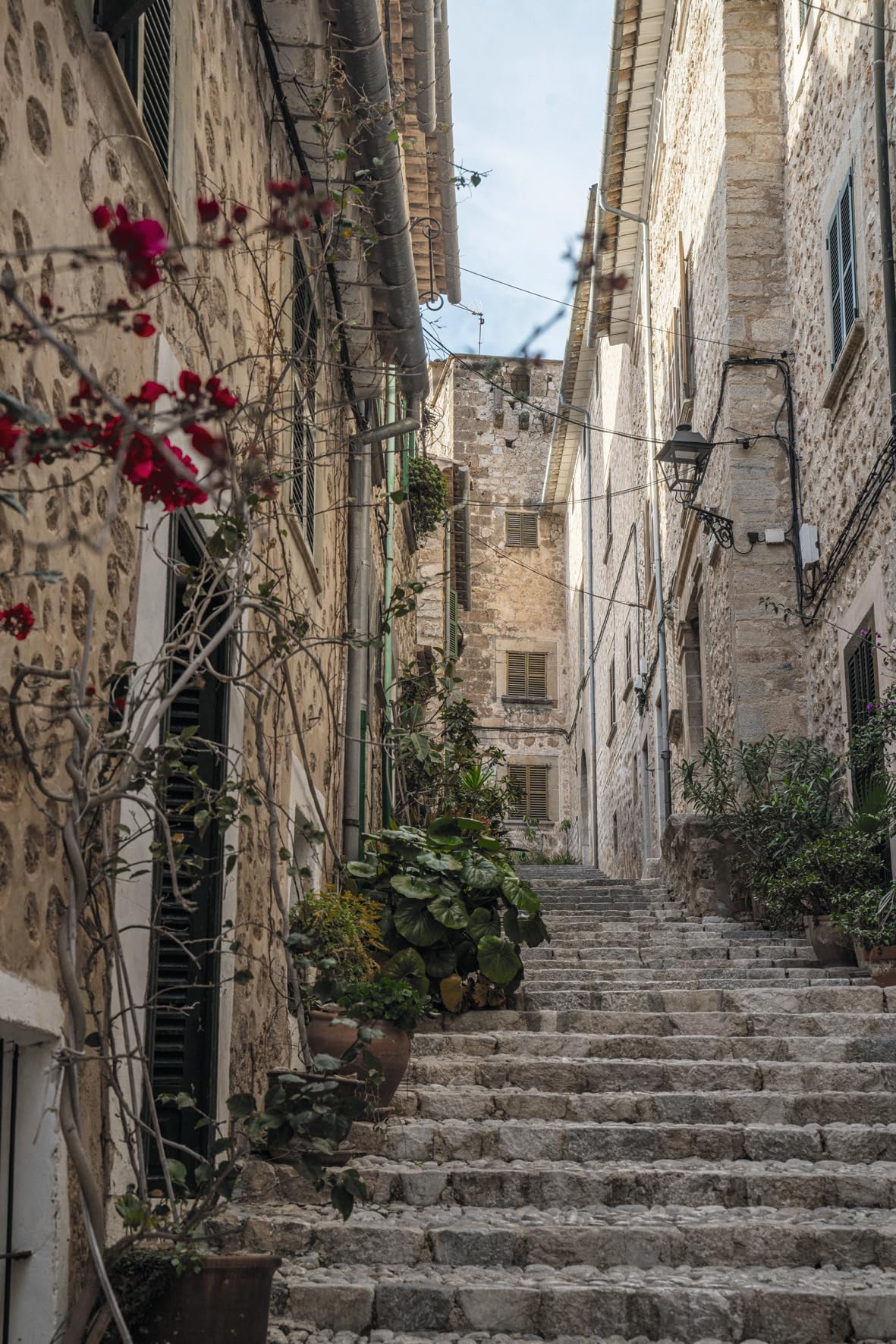 Charming Mallorca (DE)