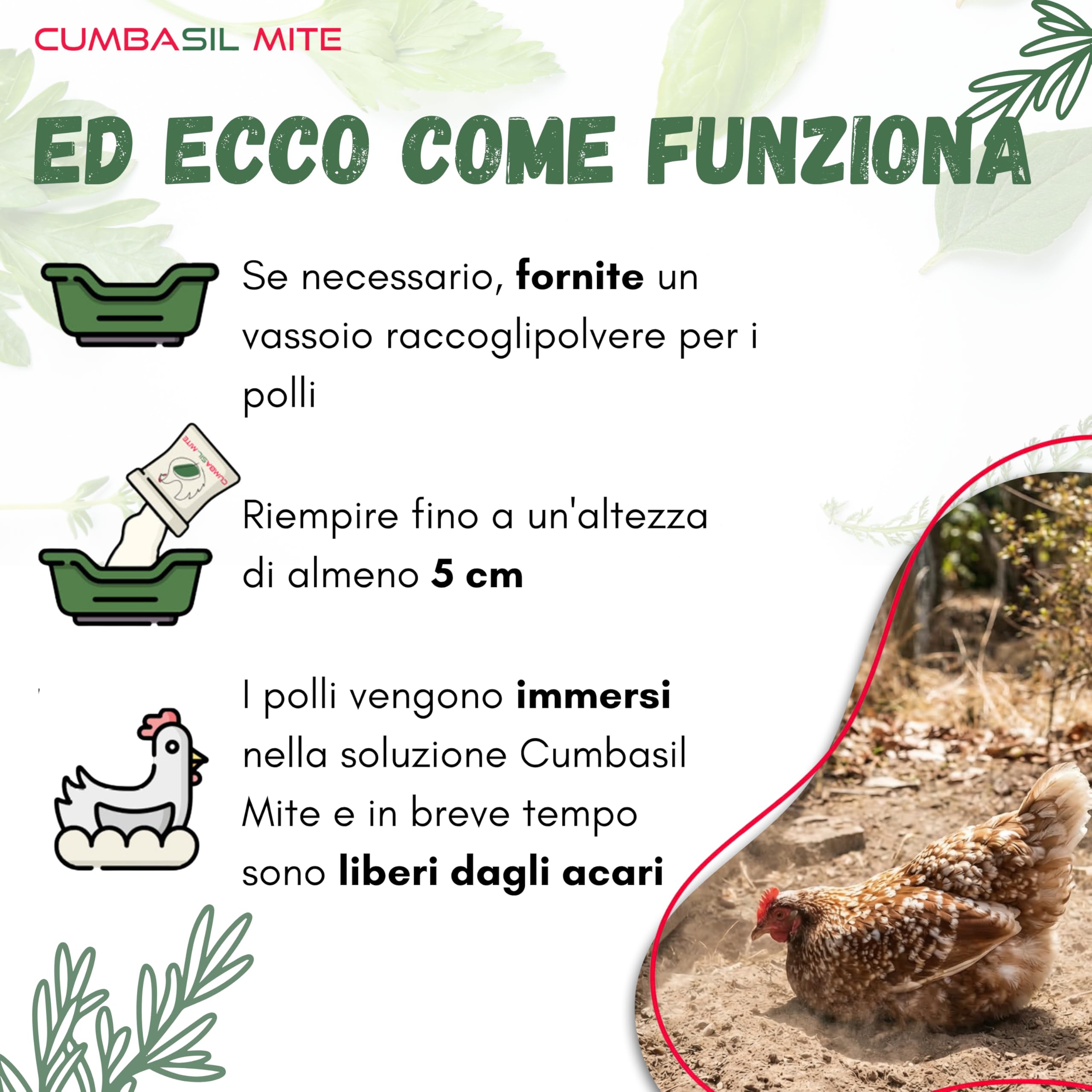 Polvere per bagno di sabbia contro gli acari per polli, set da 3 pezzi 25kg, polvere contro gli acari, rimedio naturale contro gli acari per polli, polvere
