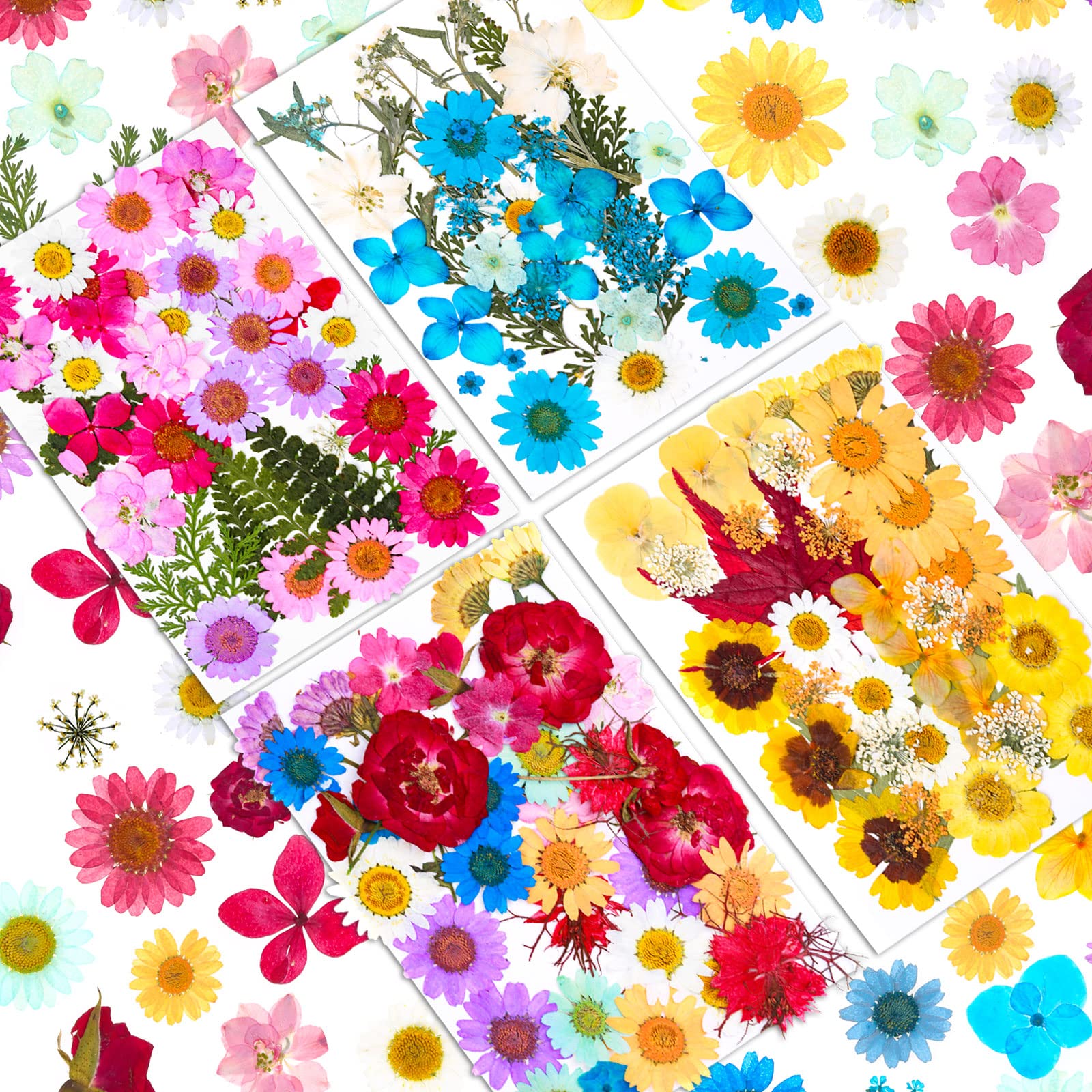 150Pcs Real Dried Pressed Flowers for Resin, Natural Dry Flowers Leaves Bulk Herbs Kit for DIY Scrapbooking Stamping Supplies Epoxy Resin Jewelry Molds Candle Soap Making Nails Décor Art Crafts