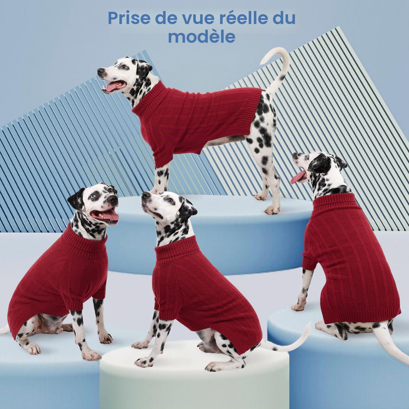 Queenmore Pull Chien Grande Taille, Doux Col Roulé Hiver, Vetement pour Teckel, Bouledogue Français, Lévrier, Whippet, Corgi (Rouge, M)