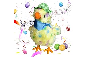 Singing Chicken Laying Eggs