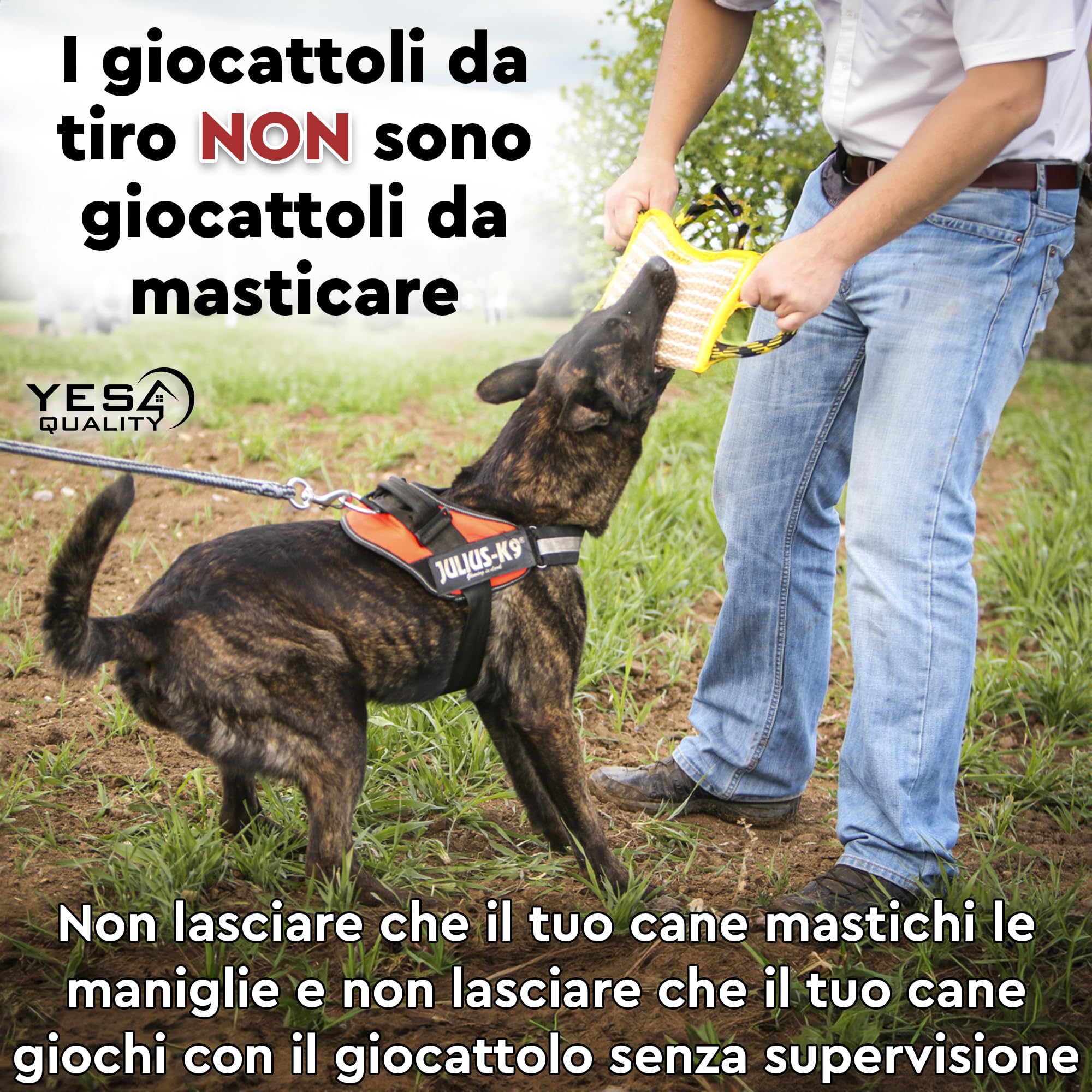 Cuscino per morso di cane 25x18 cm con 3 manici in nylon, Giocattolo da masticare per cani per sport e allenamento, Giocattolo da rimorchiatore per gioco interattivo di Yes4Quality