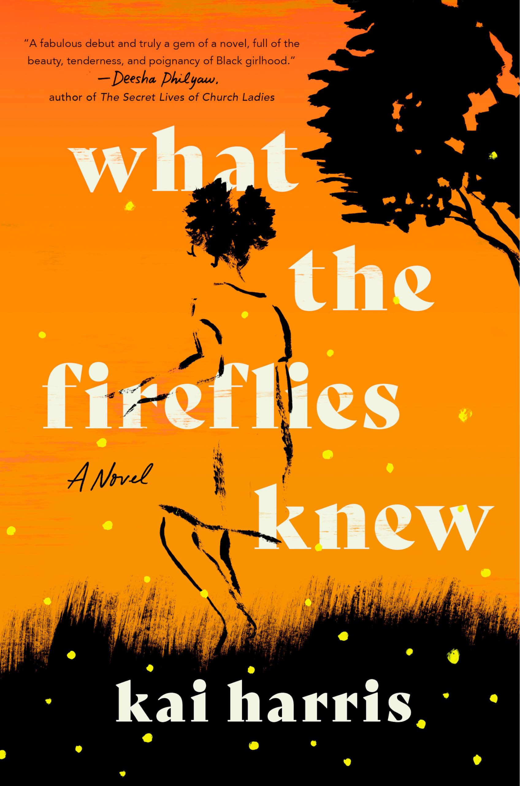 Buy What the Fireflies Knew: A Novel — BookShops.in