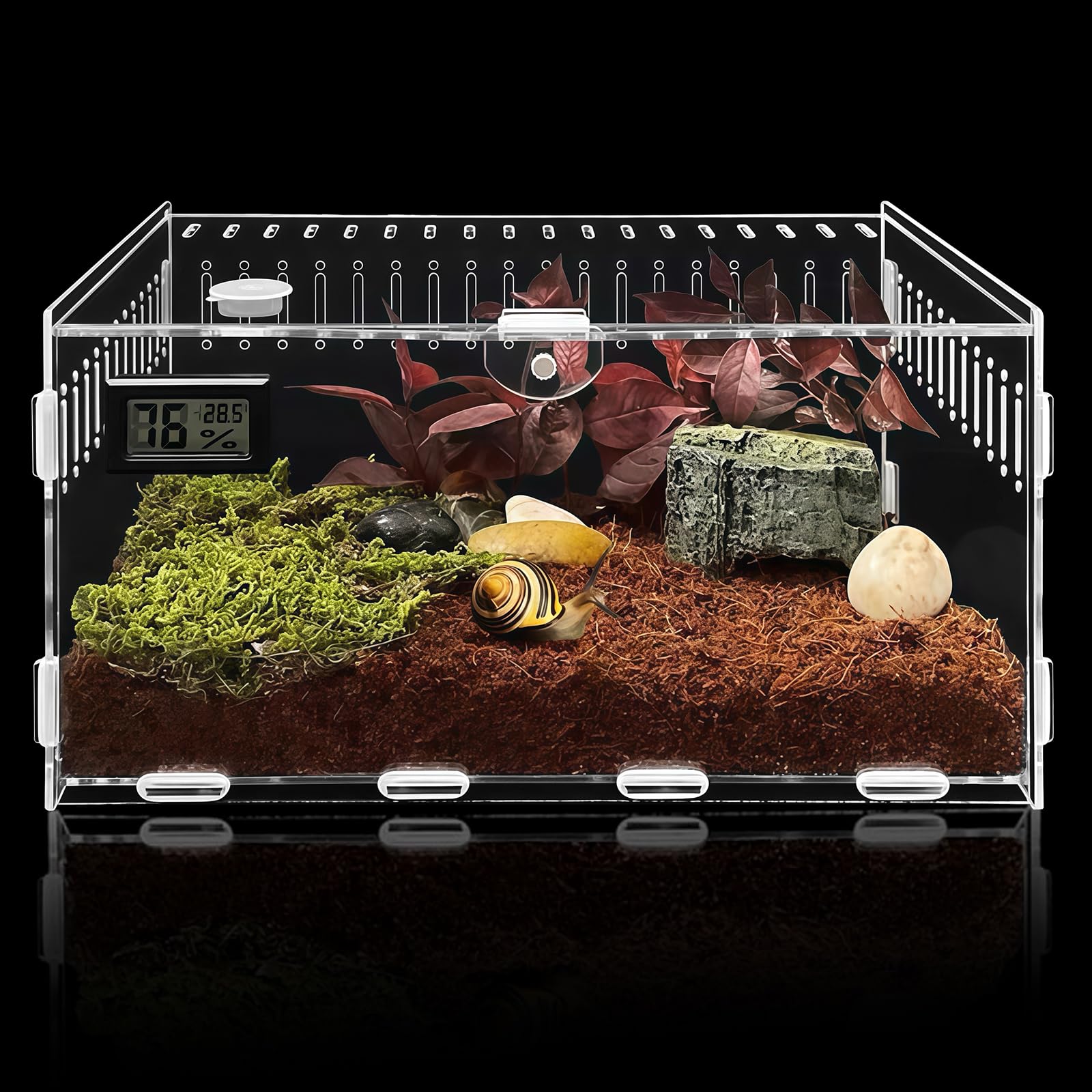 Terrarium en acrylique - 30 x 20 x 15 cm - Mini PC - Transparent - Pour escargots, insectes, araignées sauteuses, léopards, gecko, cancer ermite
