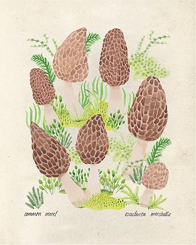 Miniatura 8 de Ink Inc. Estampados botánicos para pared, hongos comestibles, juego de 4, 8 x 10 pulgadas, sin marco