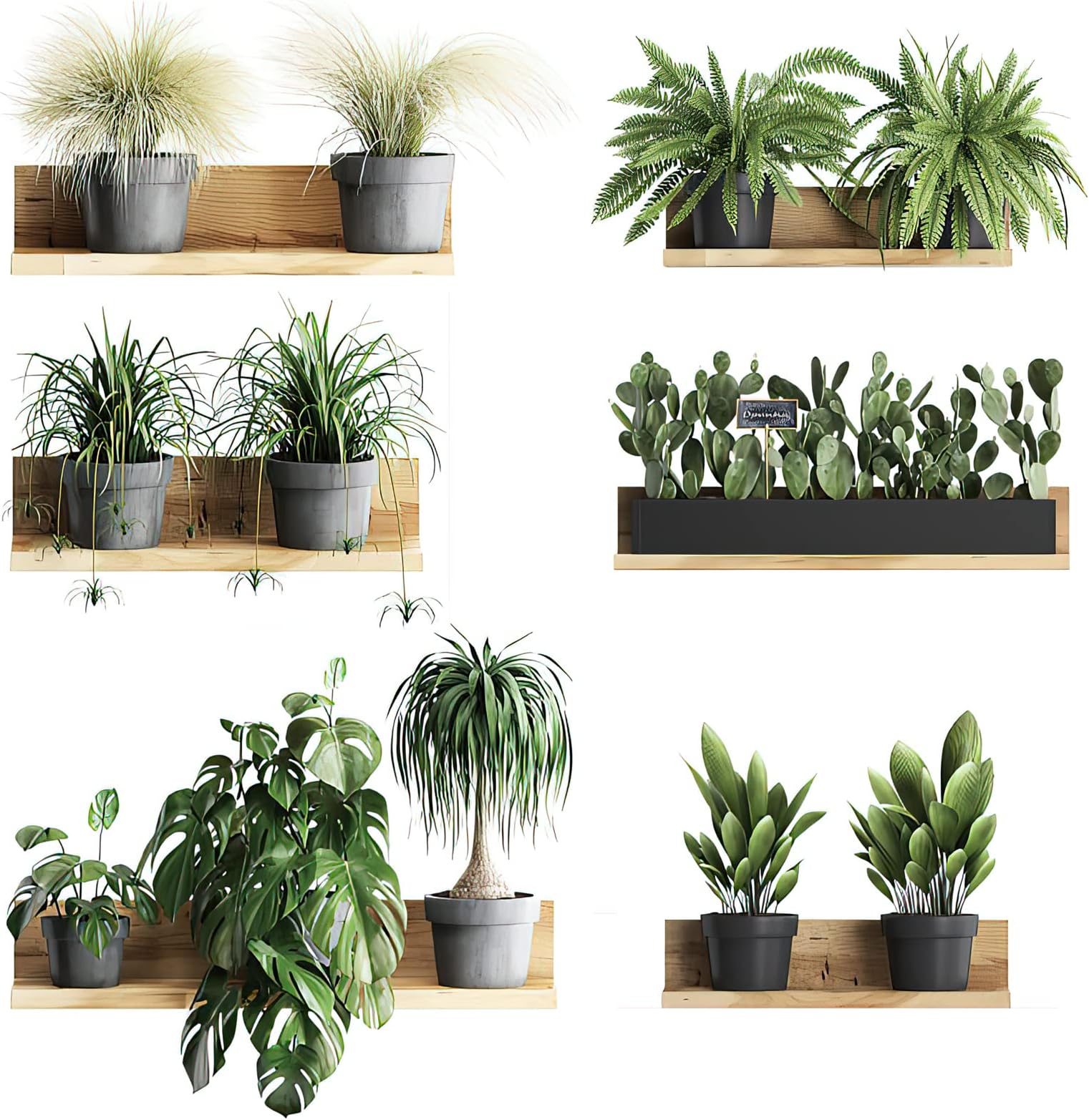 Autocollant Mural 3D Autocollant Mural Amovible PVC Bonsaï Décoration Murale Créative Plantes