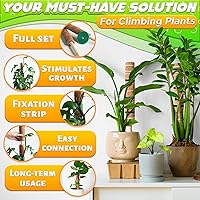 Vista 4 de Dimrom Paquete de 2 postes de musgo para monstera, 20 pulgadas, 12 pulgadas, con lazos de jardín de 67 pulgadas, postes para plantas trepadoras