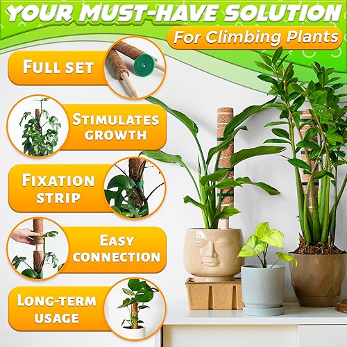 Miniatura 48 de 110 clips para plantas trepadoras, 3 tamaños, de pared, soporte para potus, ganchos para plantas, para vid, plantas de dinero, ganchos de soporte 60