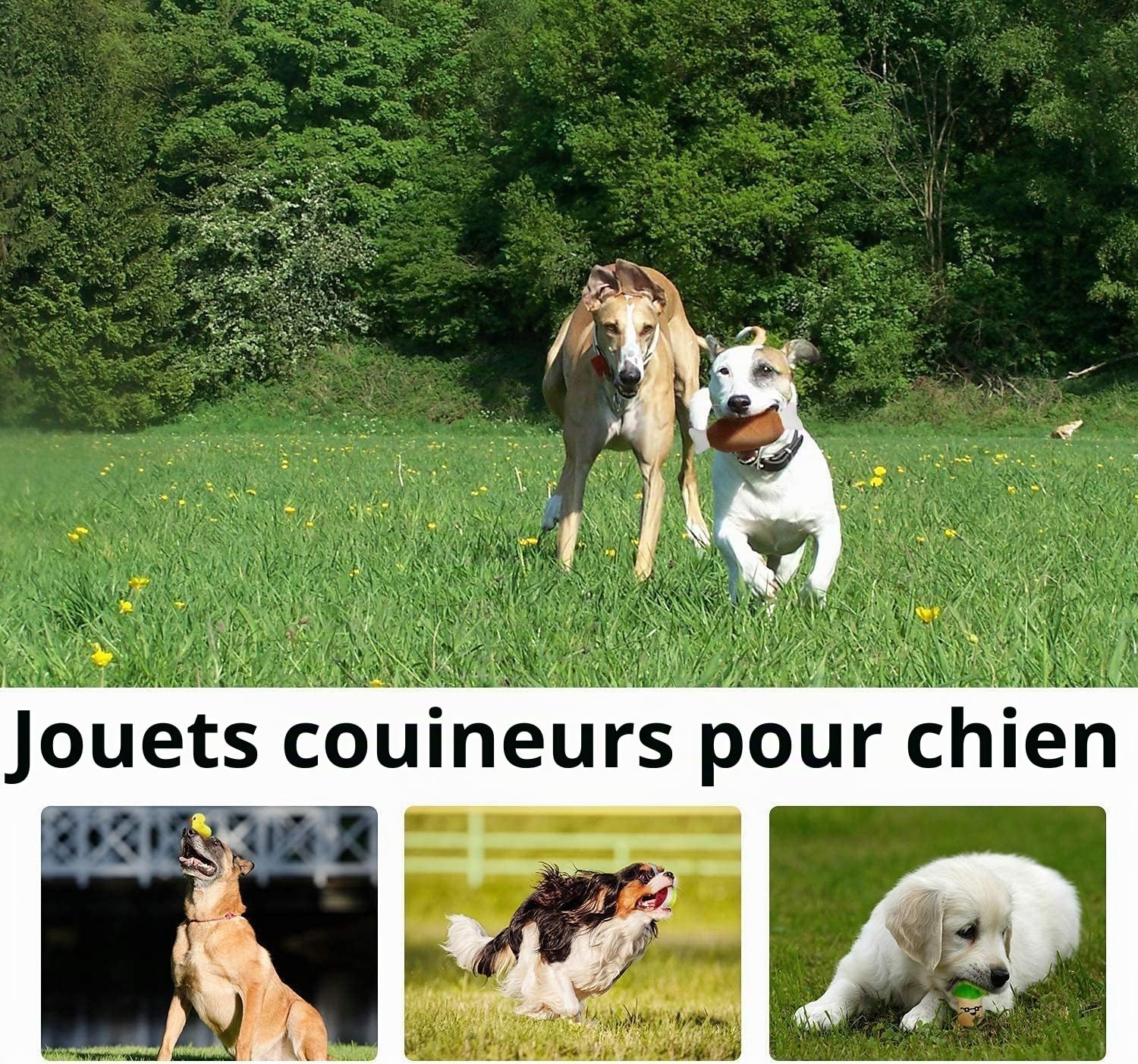 Legend Sandy Lot de 14 Jouets couineurs en Peluche Mignons pour Chiens, Fruits, collations et légumes