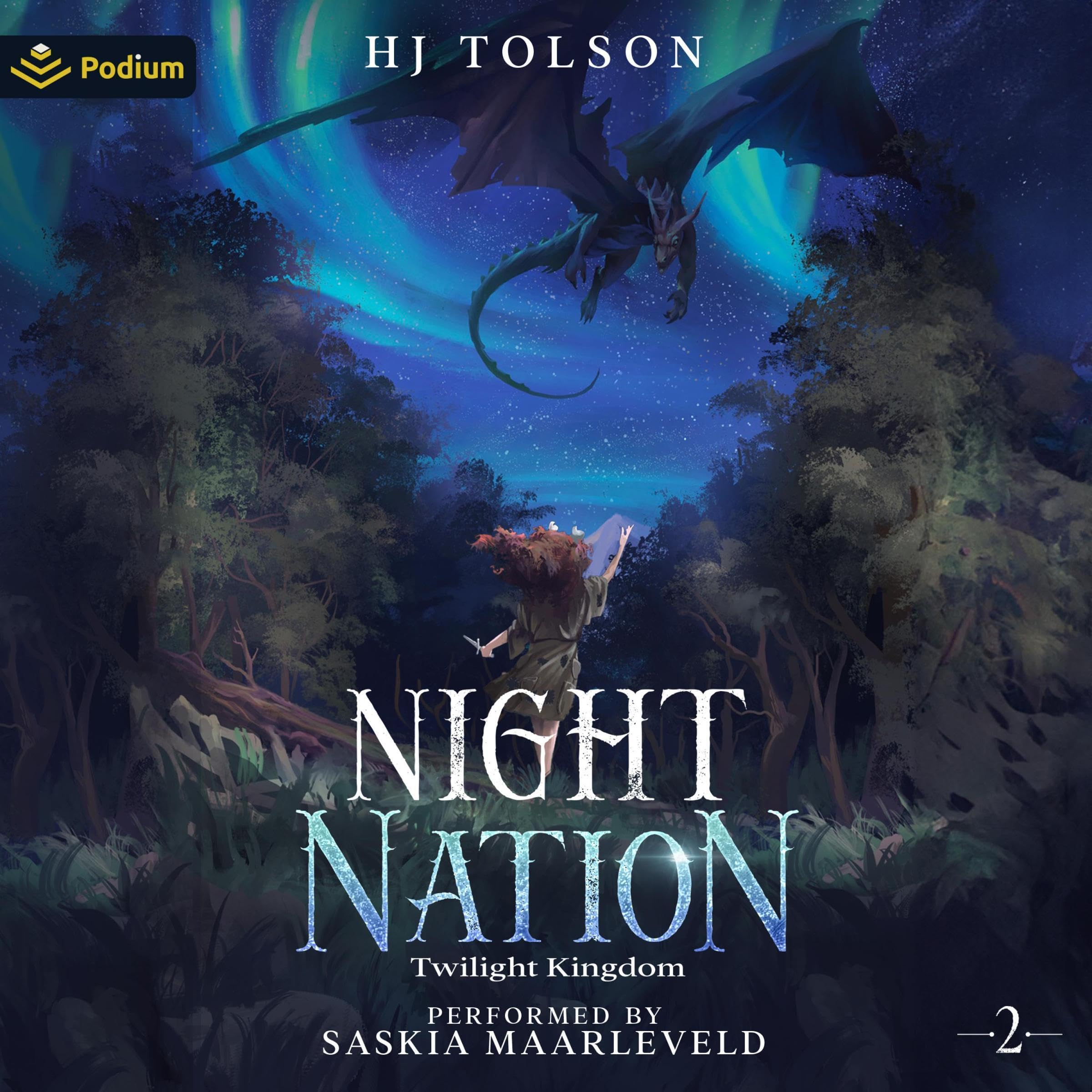 Cover art for Night Nation