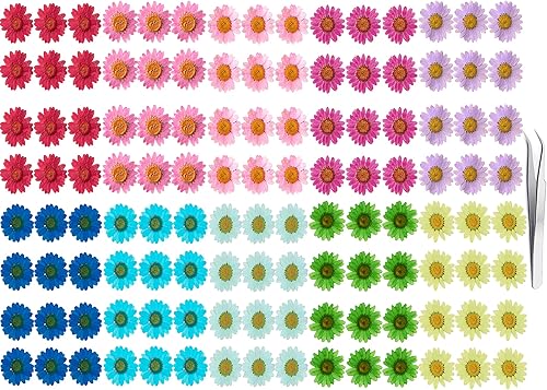 YouthBro - Juego de 120 flores secas prensadas con margaritas naturales reales para resina, bricolaje, joyas, velas, jarrones, tarjetas, álbumes de