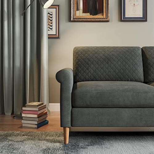 Miniatura 4 de Vesgantti Sofá biplaza de 65.1 pulgadas para sala de estar, sofá moderno, sofás pequeños para espacios pequeños, sofá biplaza tapizado de 2 plazas