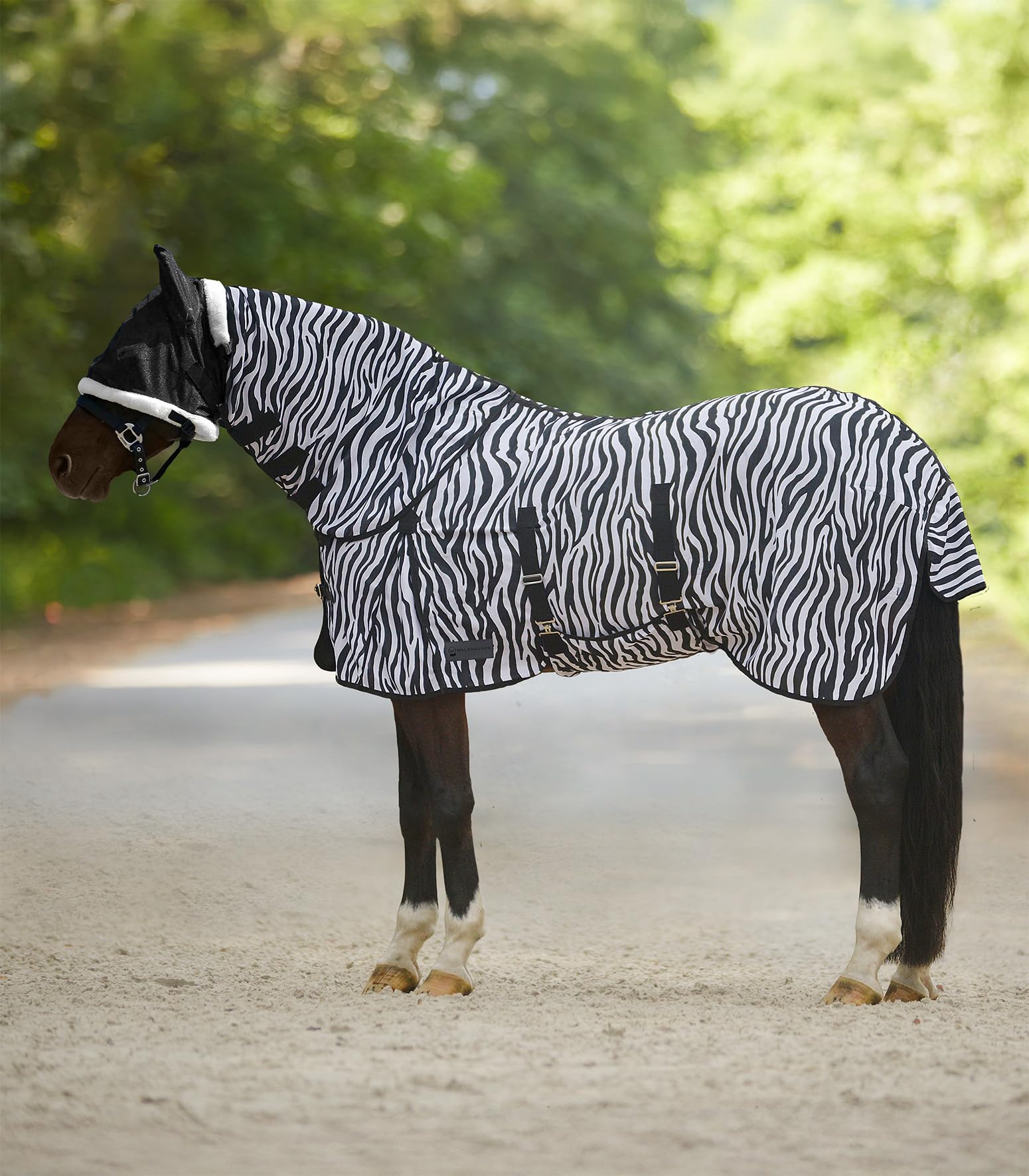 Waldhausen Fliegendecke Zebra, 145 cm | mit Bauchlatz, mit Schweiflatz