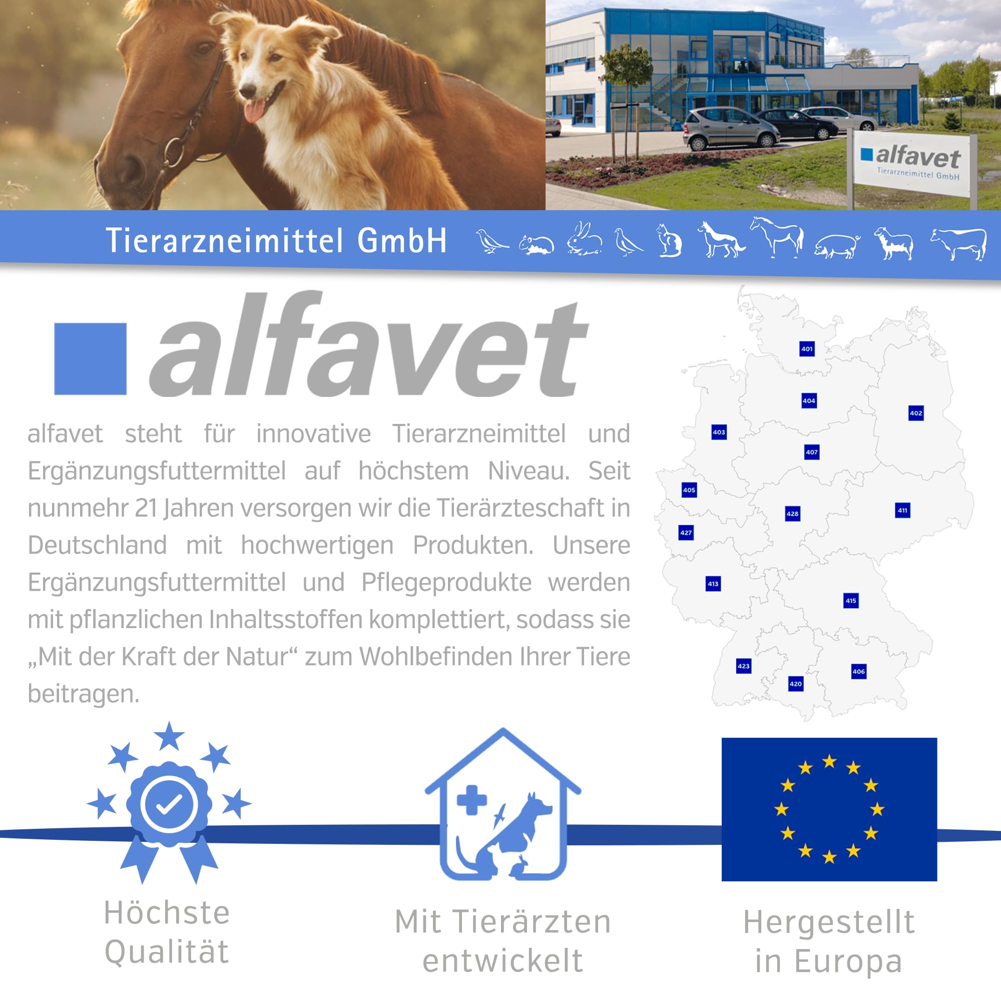alfavet ReConvales Energy 180 ml