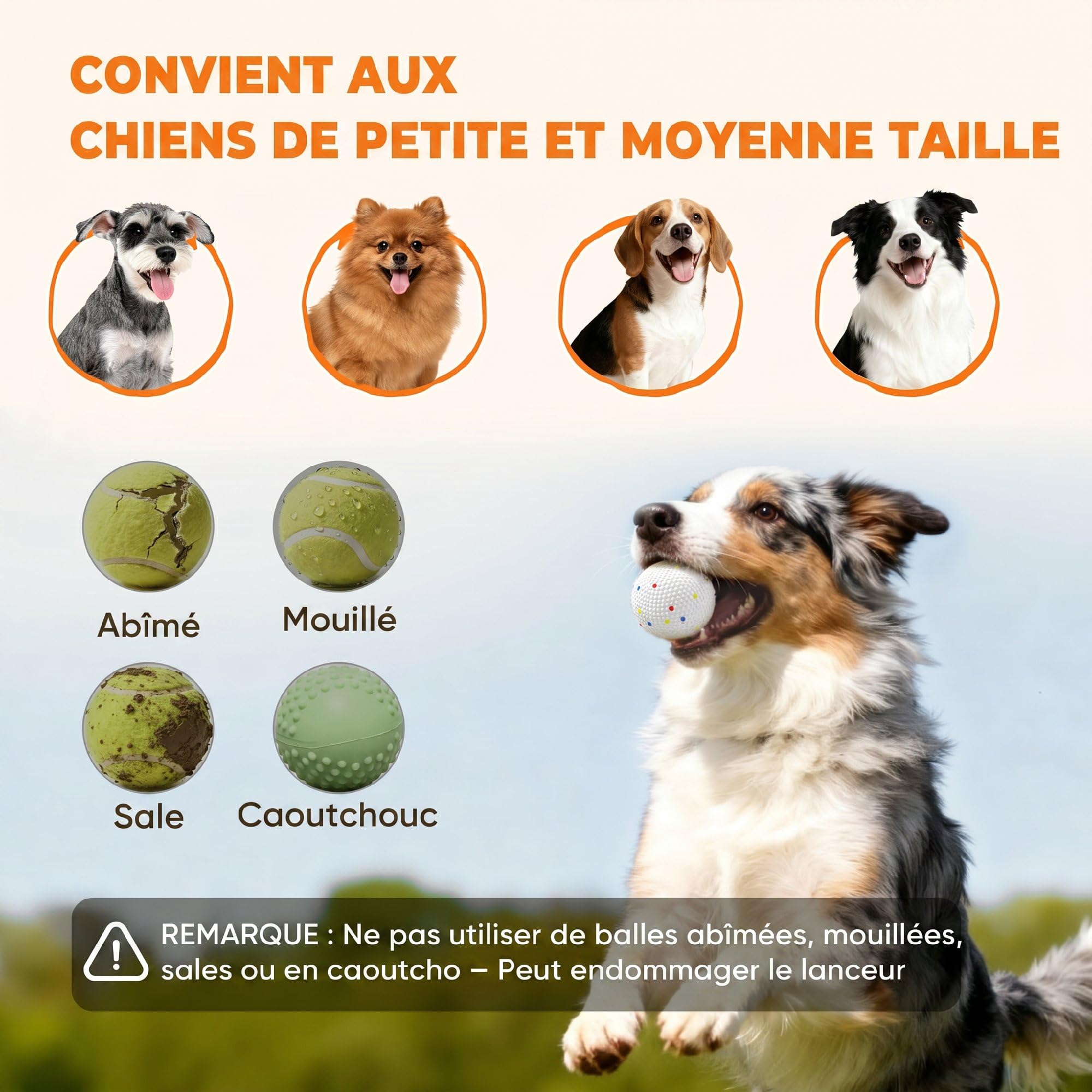 PawHut Lanceur Automatique de Balles Chiens Moyens 3 Distances Orange