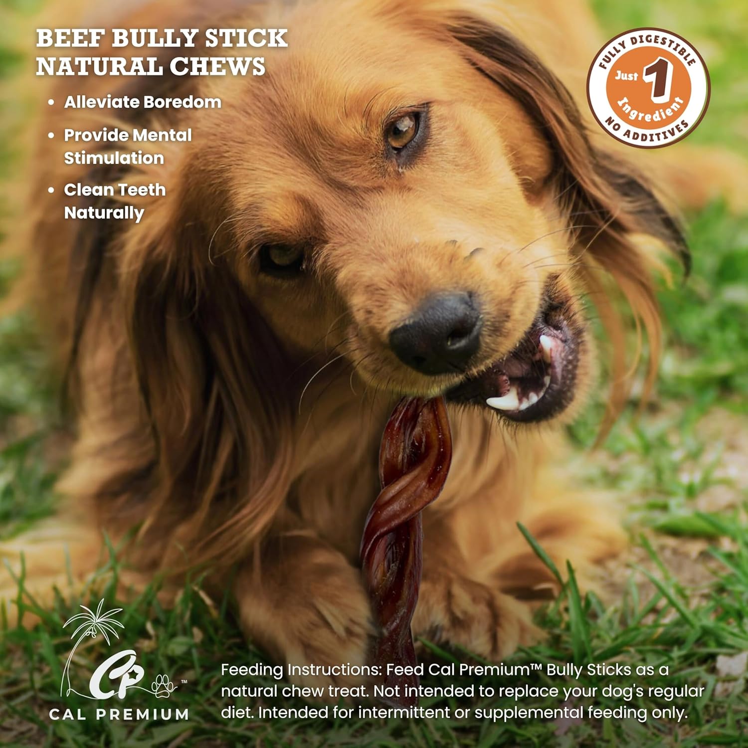 Natural Twisted Bully Sticks for Dogs, 5-7 inch, 20 Counts, 100% USA Sourced & Made, Single Ingredient, Moderate Chewer, Healthy Long Lasting Treats (Package May Vary)