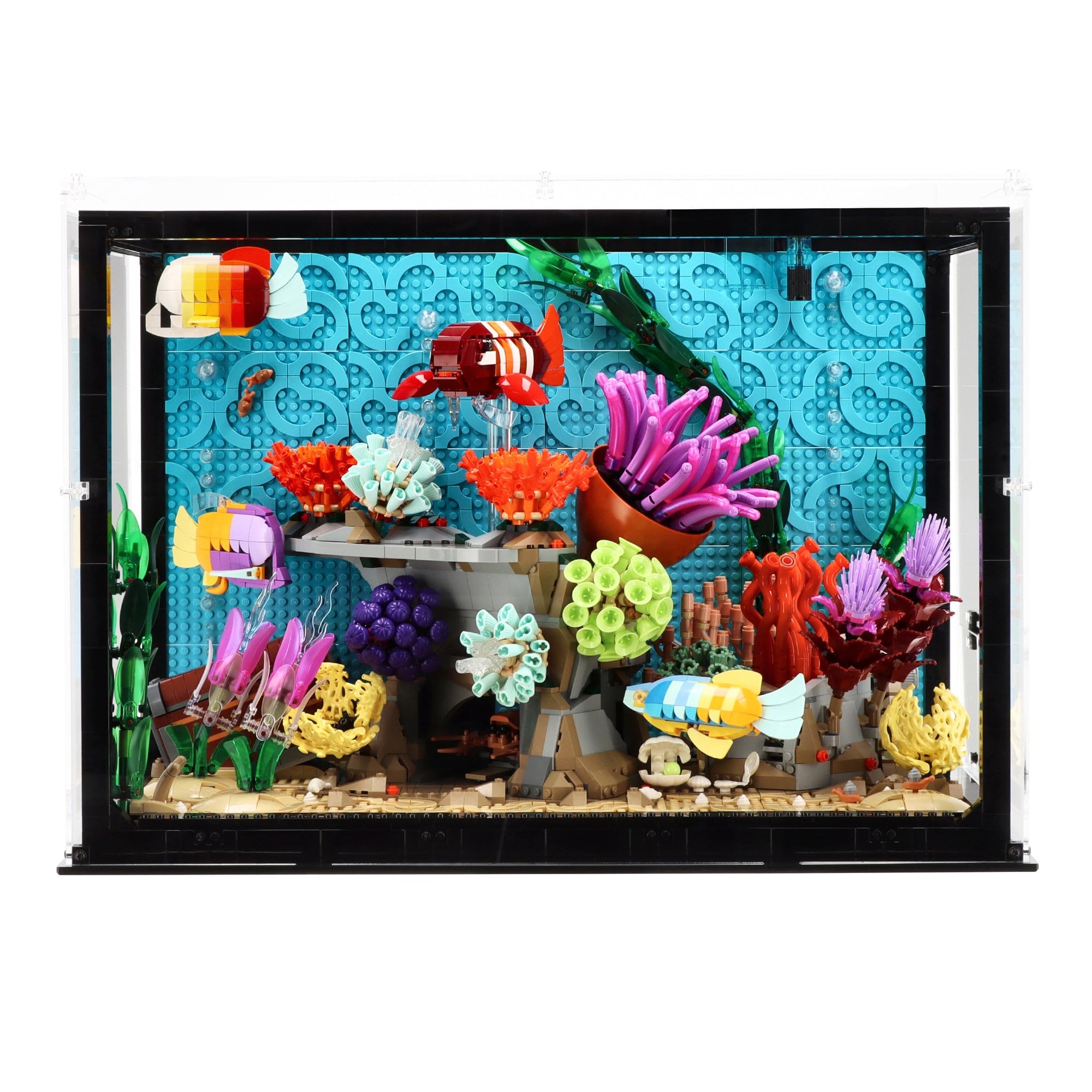 Plexico Display Case compatible with LEGO 10366 Tropical Aquarium - (Small case - W/O Hatch)