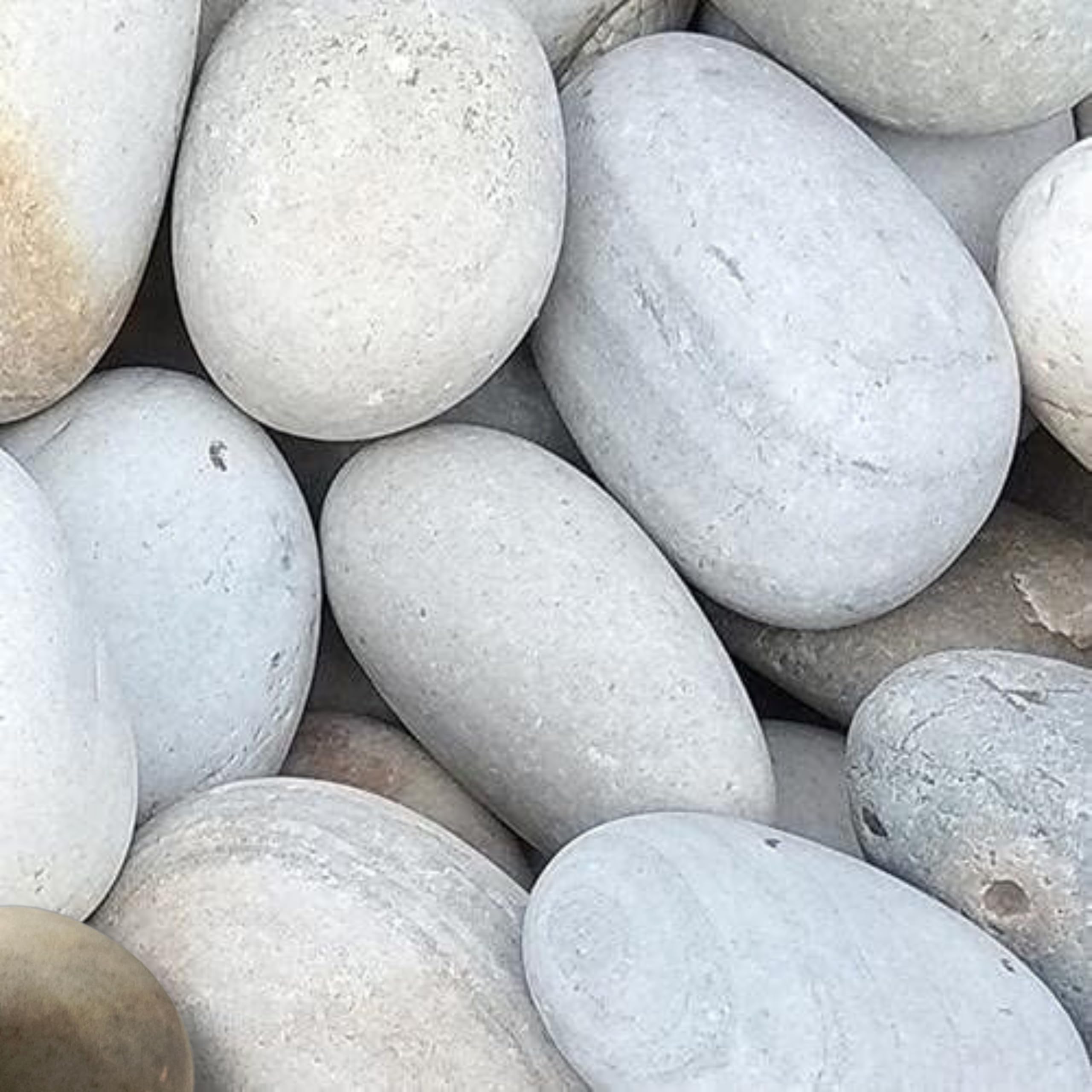 Foodie Puppies Natural Decorative River Pebble Polished Stones - (Silk Smooth, Pack of 20) (2-3inch) for Aquarium Tank, Garden, Landscaping, Home Decoration, Rock Art, and Potted Plants