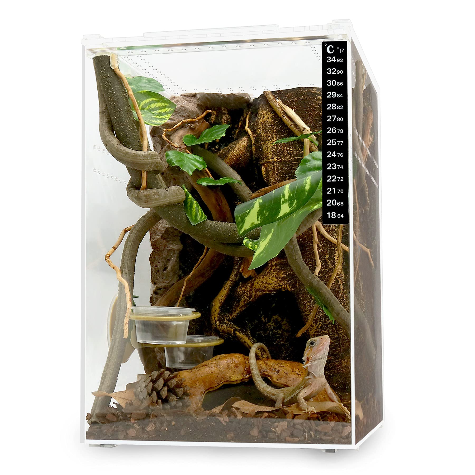 Buy NEPTONION Acrylic Breeding Box 8"x8"x12" Transparent Mini Reptile